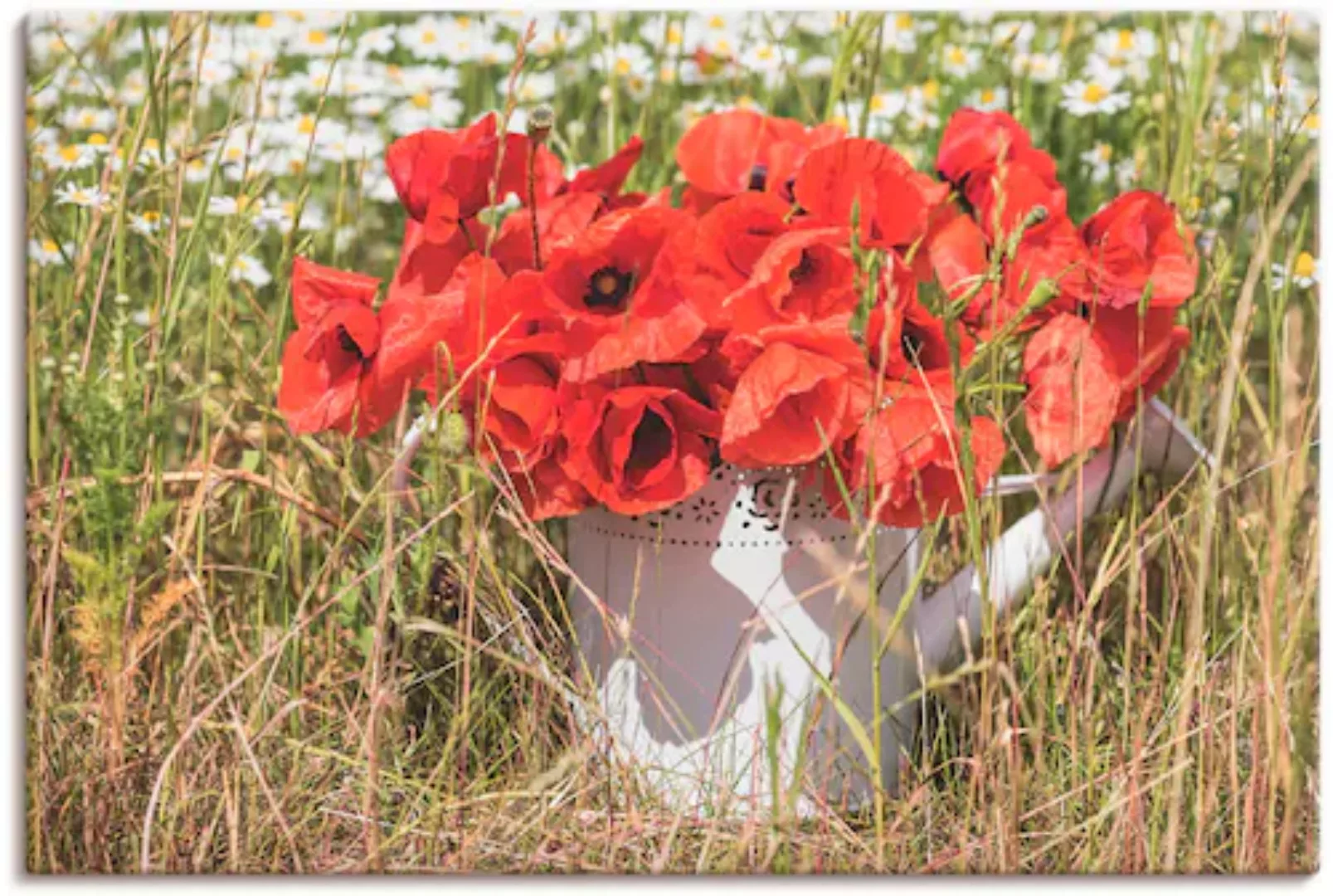 Artland Leinwandbild "Mohnblüten im Feld", Blumenwiese, (1 St.), auf Keilra günstig online kaufen