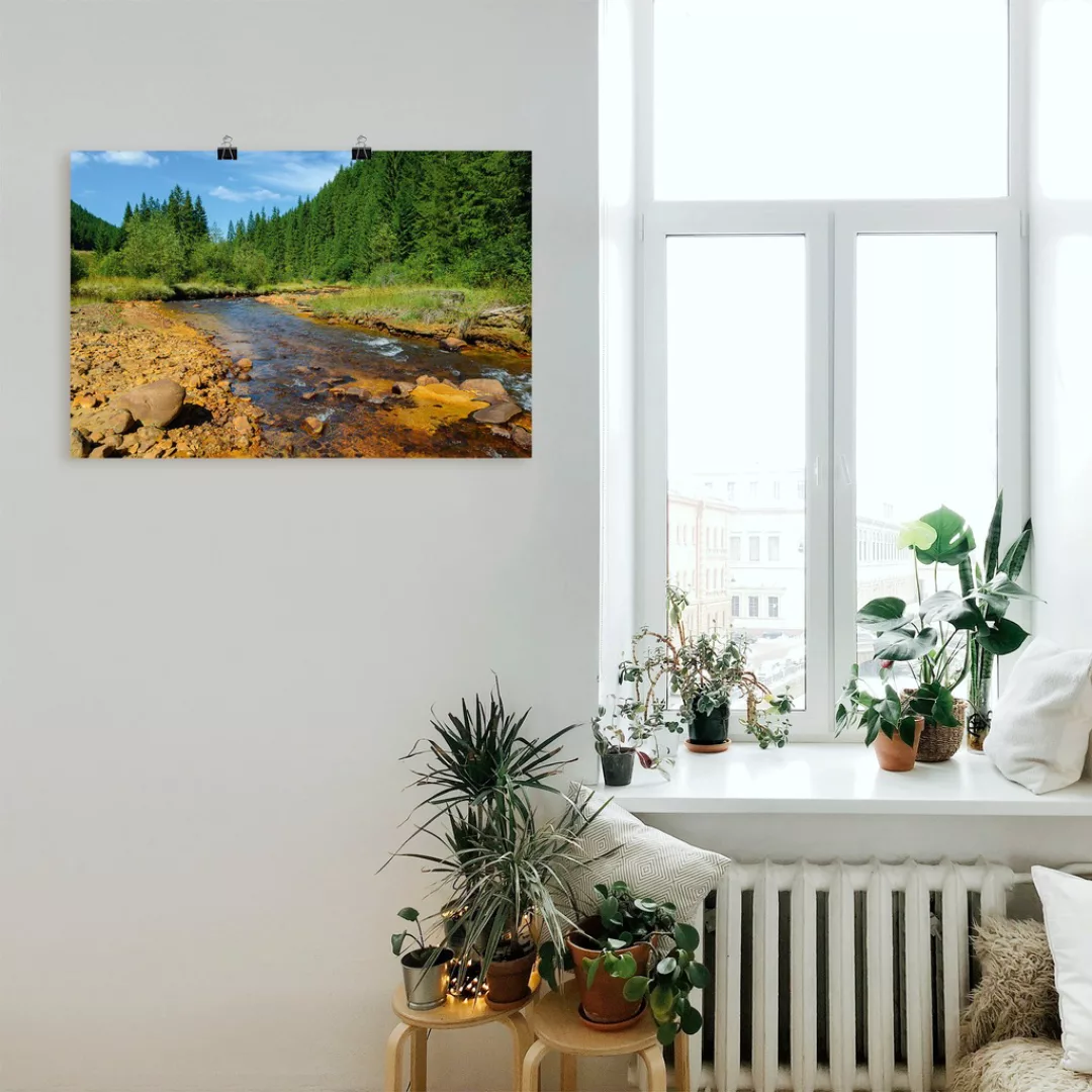 Artland Wandbild "Fluss Neagra, Caliman-Nationalpark", Gewässer, (1 St.), a günstig online kaufen