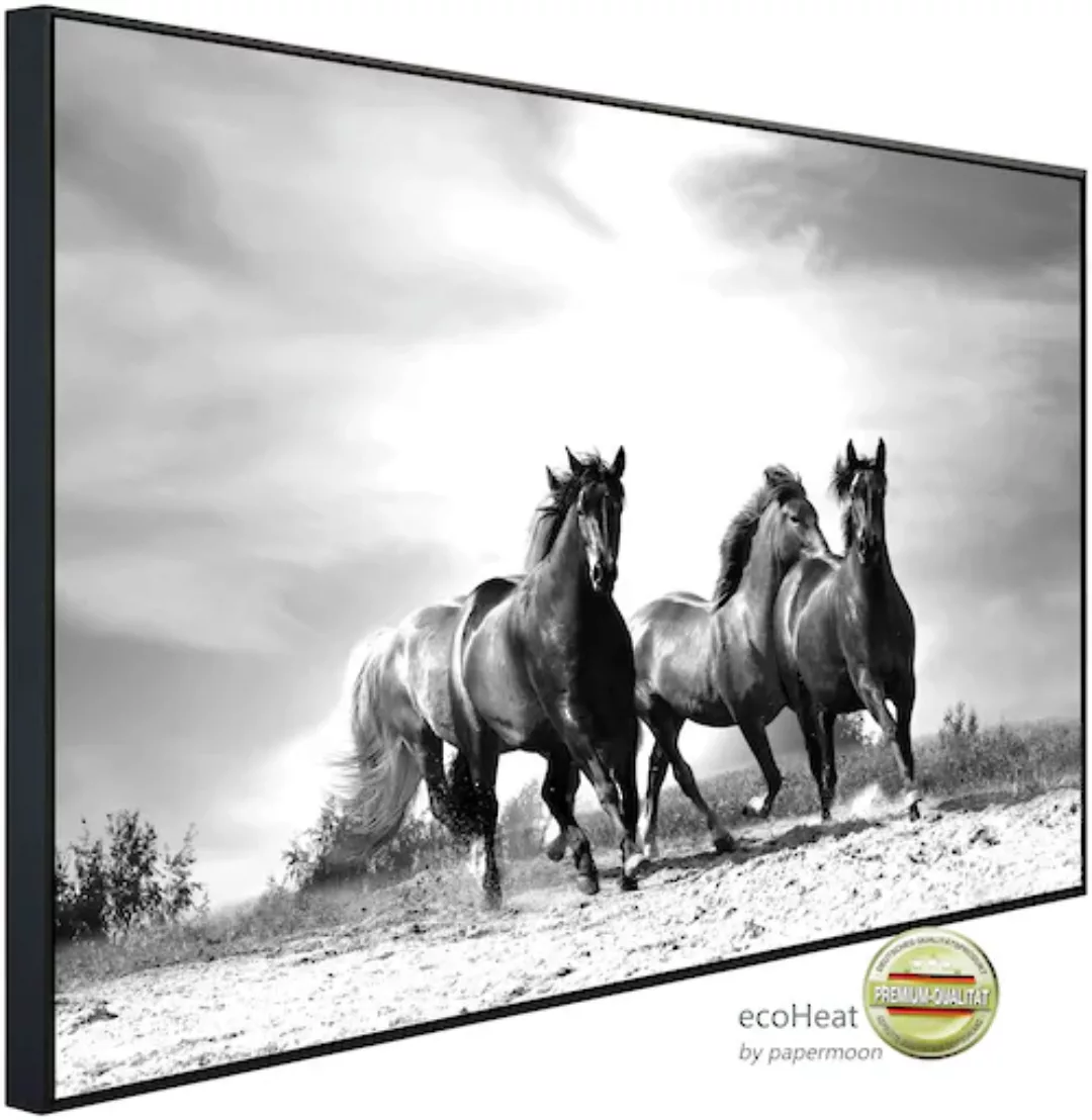 Papermoon Infrarotheizung »Pferde Schwarz & Weiß«, sehr angenehme Strahlung günstig online kaufen