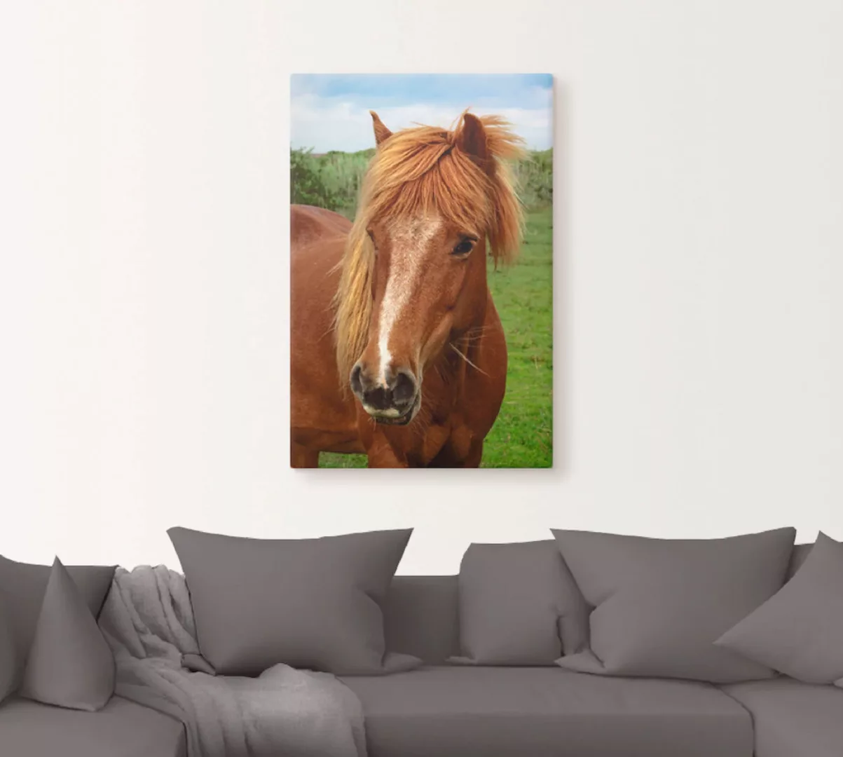 Artland Leinwandbild "Hallo Pferd", Haustiere, (1 St.), auf Keilrahmen gesp günstig online kaufen