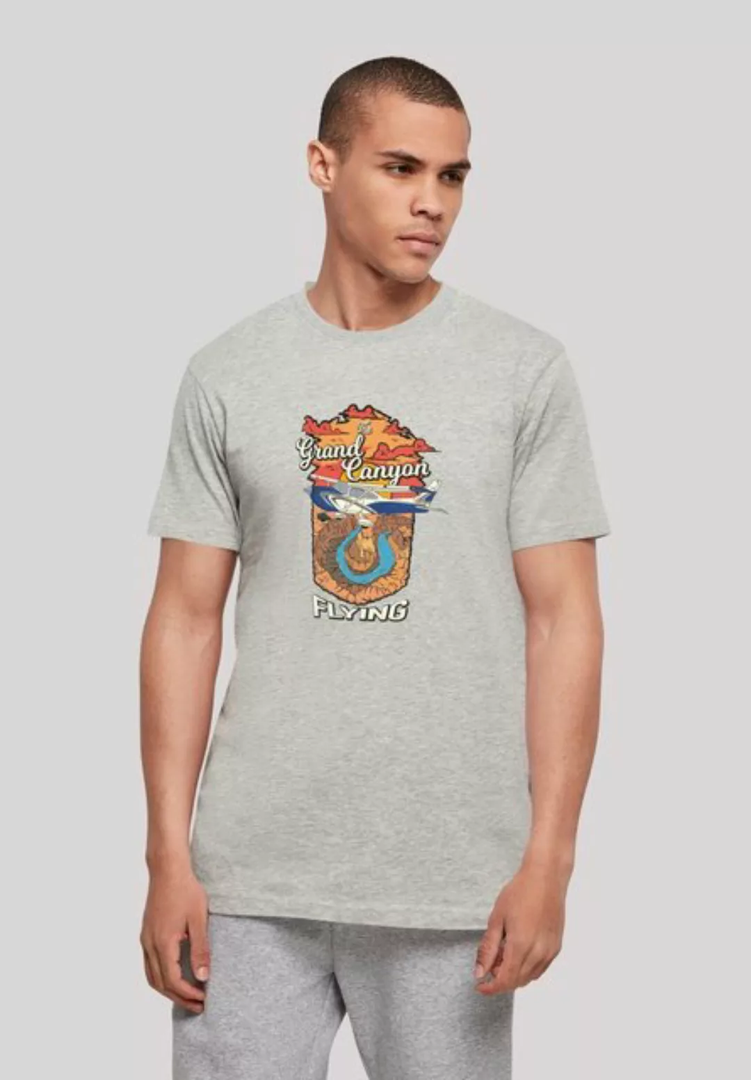 F4NT4STIC T-Shirt Grand Canyon Flying Print günstig online kaufen