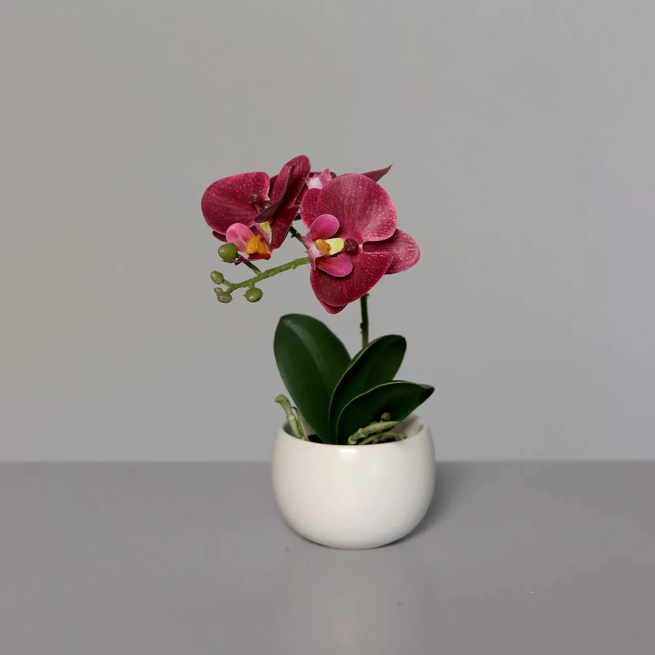 Kunstblume Mini-Orchidee im Keramiktopf rot günstig online kaufen