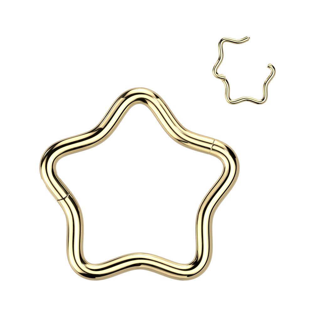 Taffstyle Nasenpiercing Septum Piercing Stern Segmentring günstig online kaufen