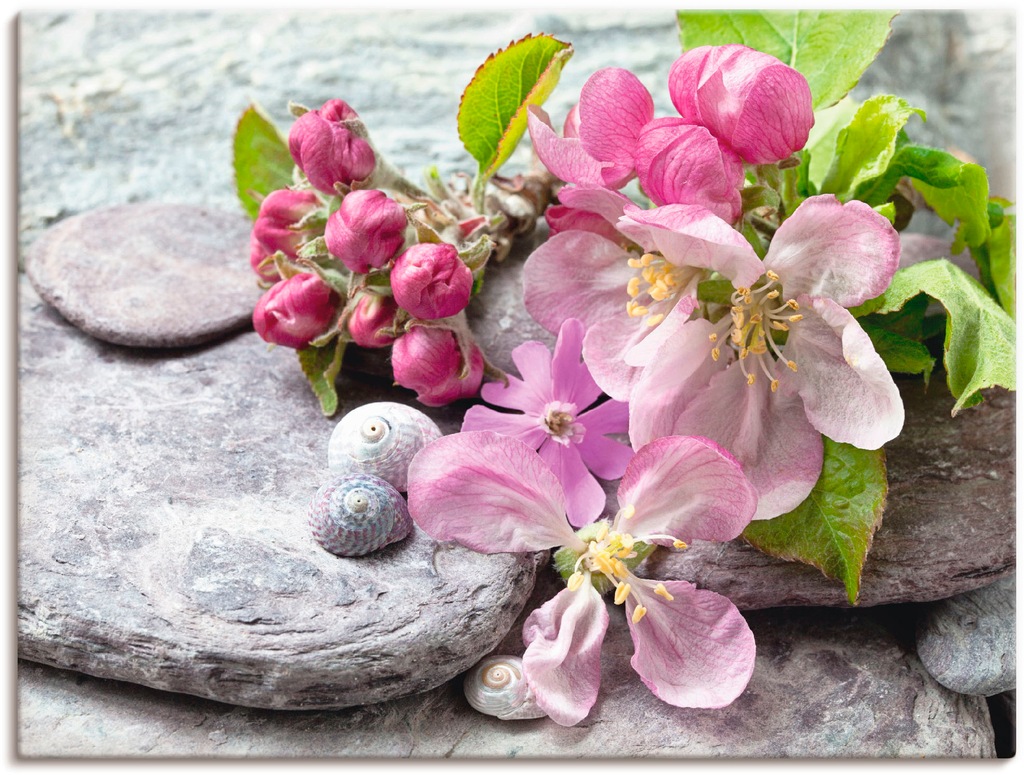 Artland Wandbild »Apfelblüten«, Blumen, (1 St.), als Leinwandbild, Poster, günstig online kaufen