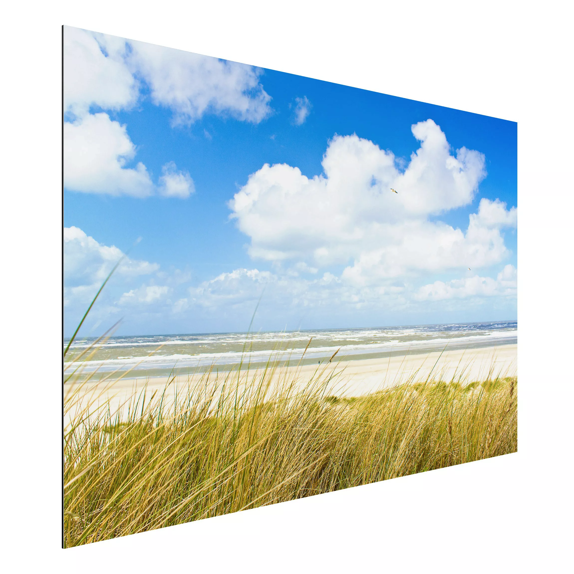 Alu-Dibond Bild Natur & Landschaft - Querformat 3:2 An der Nordseeküste Pan günstig online kaufen