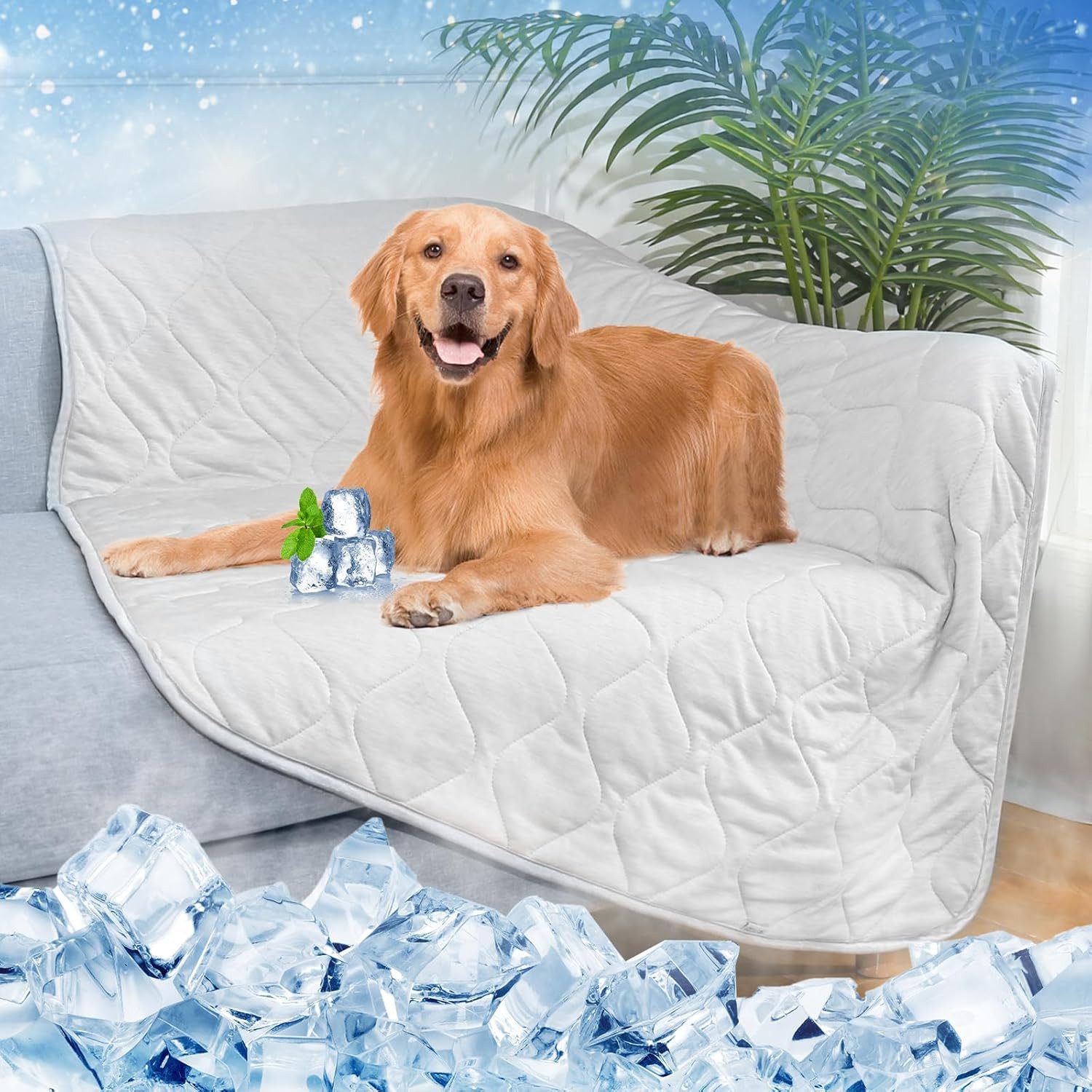 Elegear Hundematte Leichte, selbstkühlende Kühldecke für günstig online kaufen