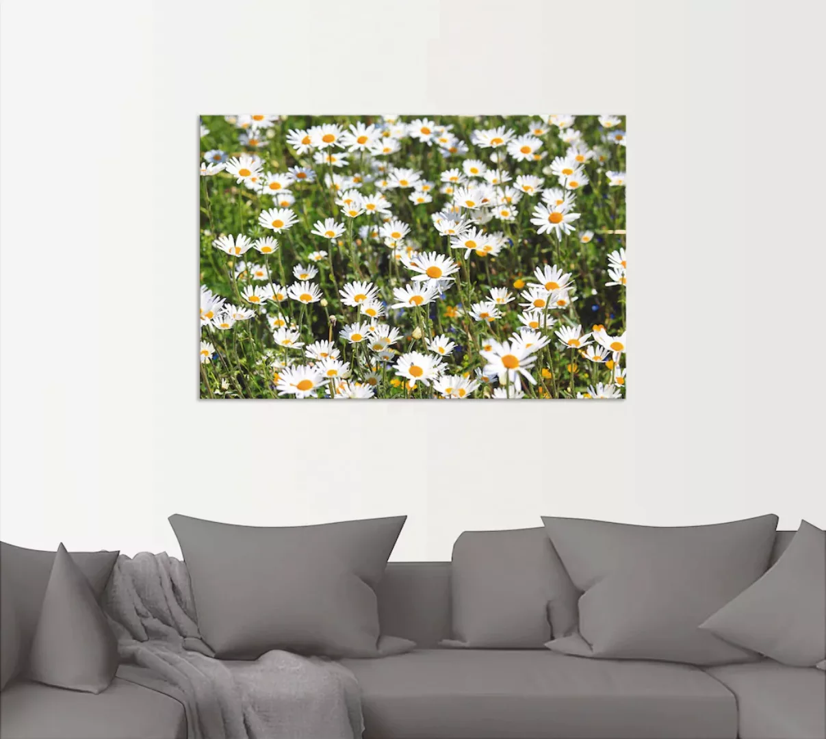 Artland Wandbild »Gänseblümchen«, Blumen, (1 St.), als Alubild, Outdoorbild günstig online kaufen