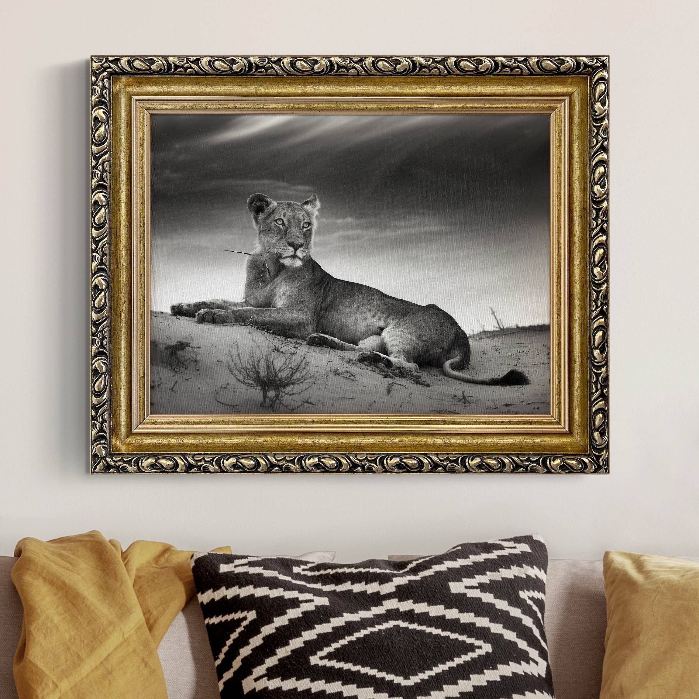 Gerahmtes Leinwandbild Resting Lion günstig online kaufen