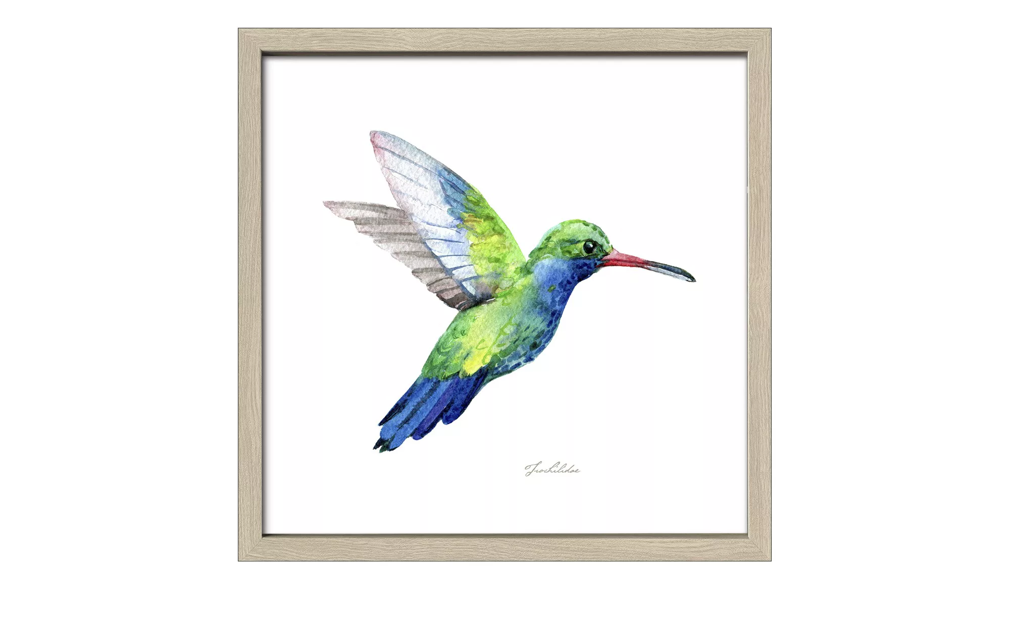 Gerahmtes Bild Slim-Scandic  Green Bird - 30 cm - 30 cm - Sconto günstig online kaufen