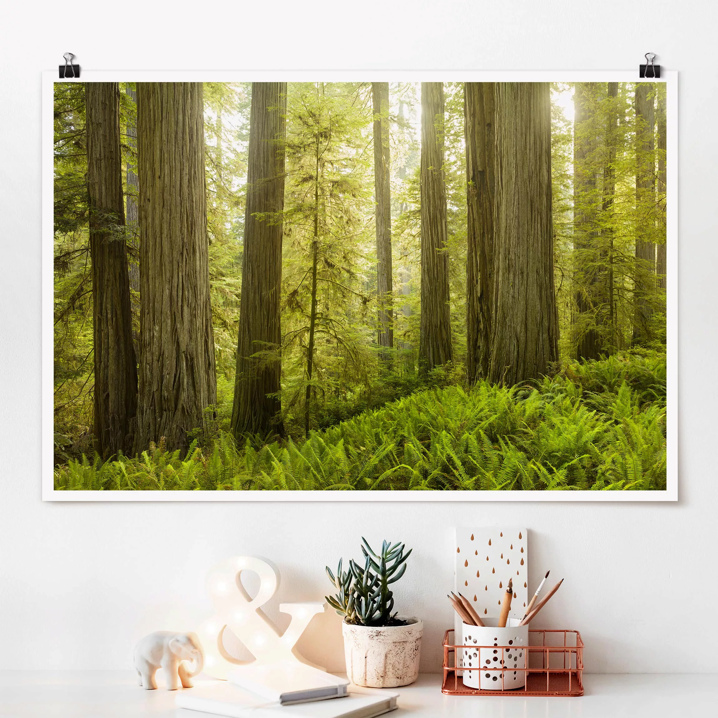 Poster Natur & Landschaft - Querformat Redwood State Park Waldblick günstig online kaufen