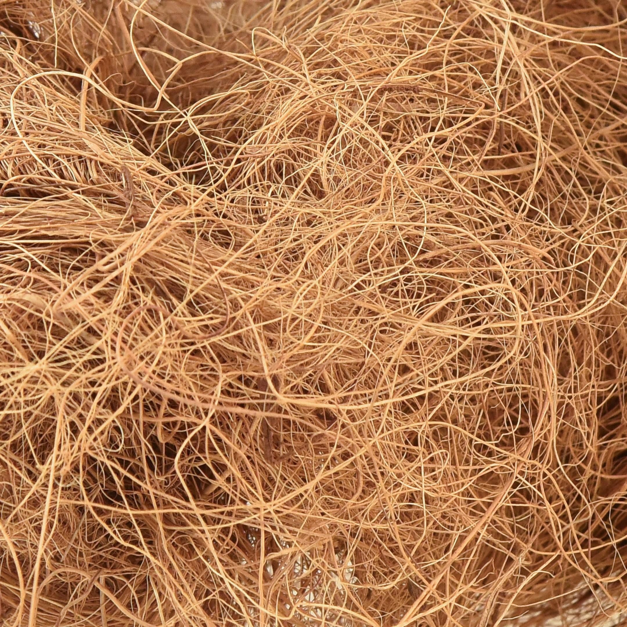 Trockenblume Kokosfaser Natur Bastelfaser 1kg Deko günstig online kaufen