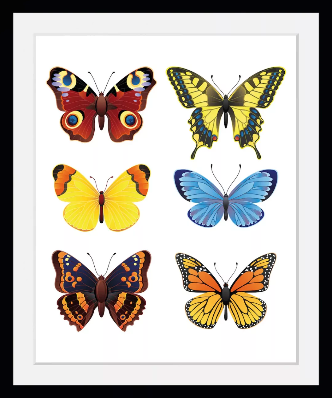 queence Bild »Irina«, Schmetterlinge-Kunst-Insekten, (1 St.), HD Premium Po günstig online kaufen