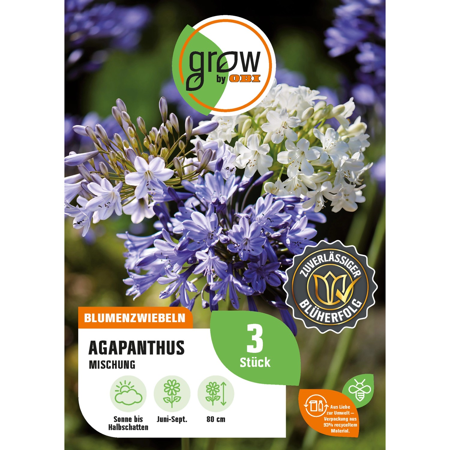 GROW by OBI Agapanthus Mischung Höhe ca. 80 cm Agapanthus africanus günstig online kaufen