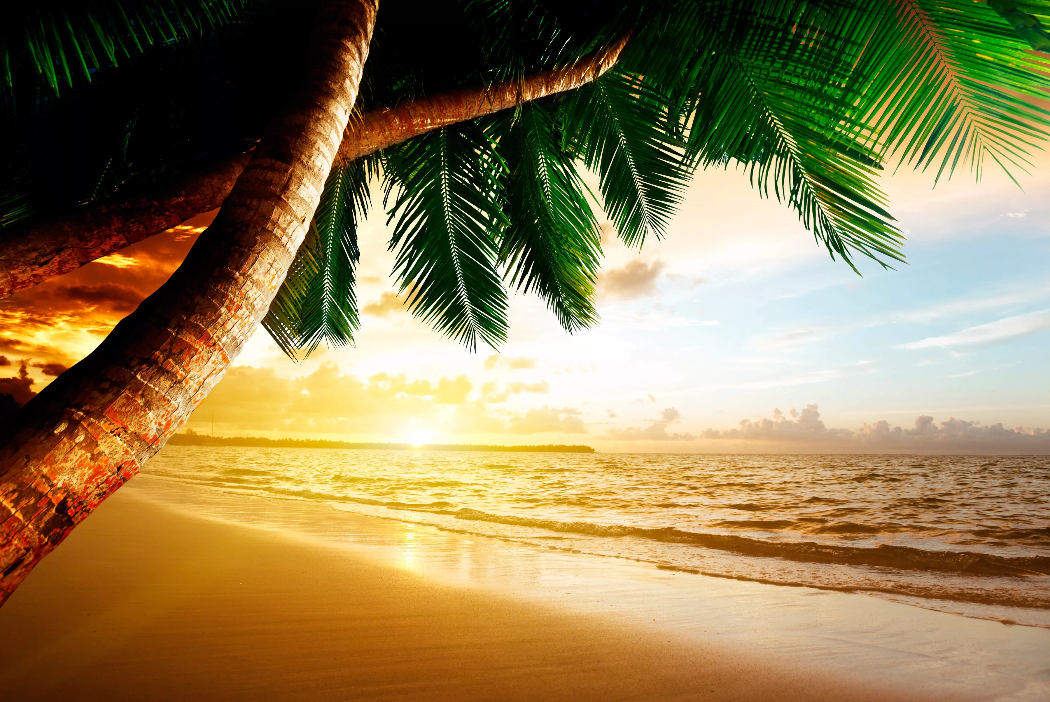 Papermoon Fototapete »Caribbean Beach Sunrise« günstig online kaufen