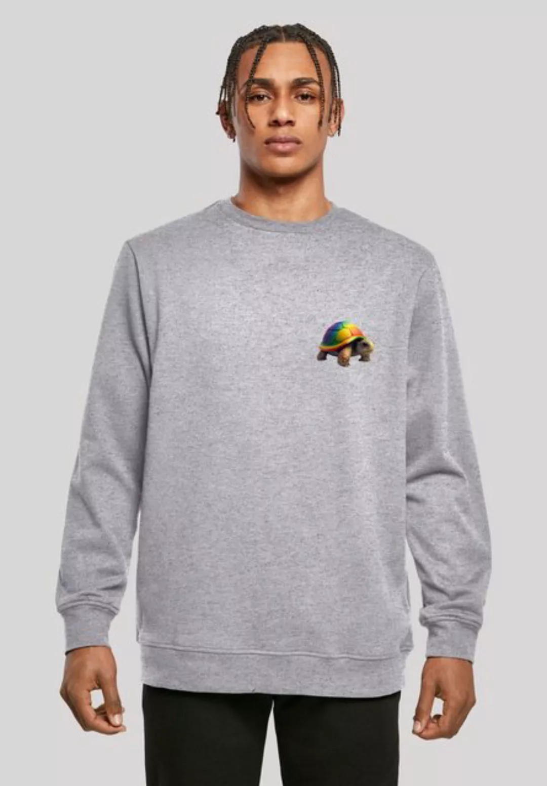 F4NT4STIC Kapuzenpullover Rainbow Turtle CREWNECK Print günstig online kaufen