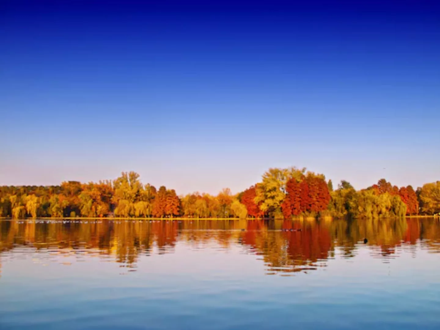 Papermoon Fototapete »Autumn Lake« günstig online kaufen