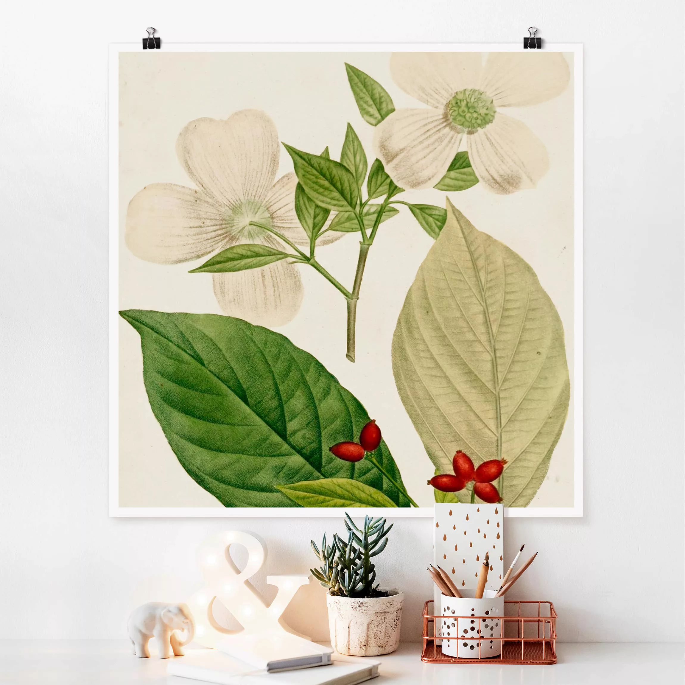Poster Blumen - Quadrat Tableau Blatt Blüte Frucht III günstig online kaufen