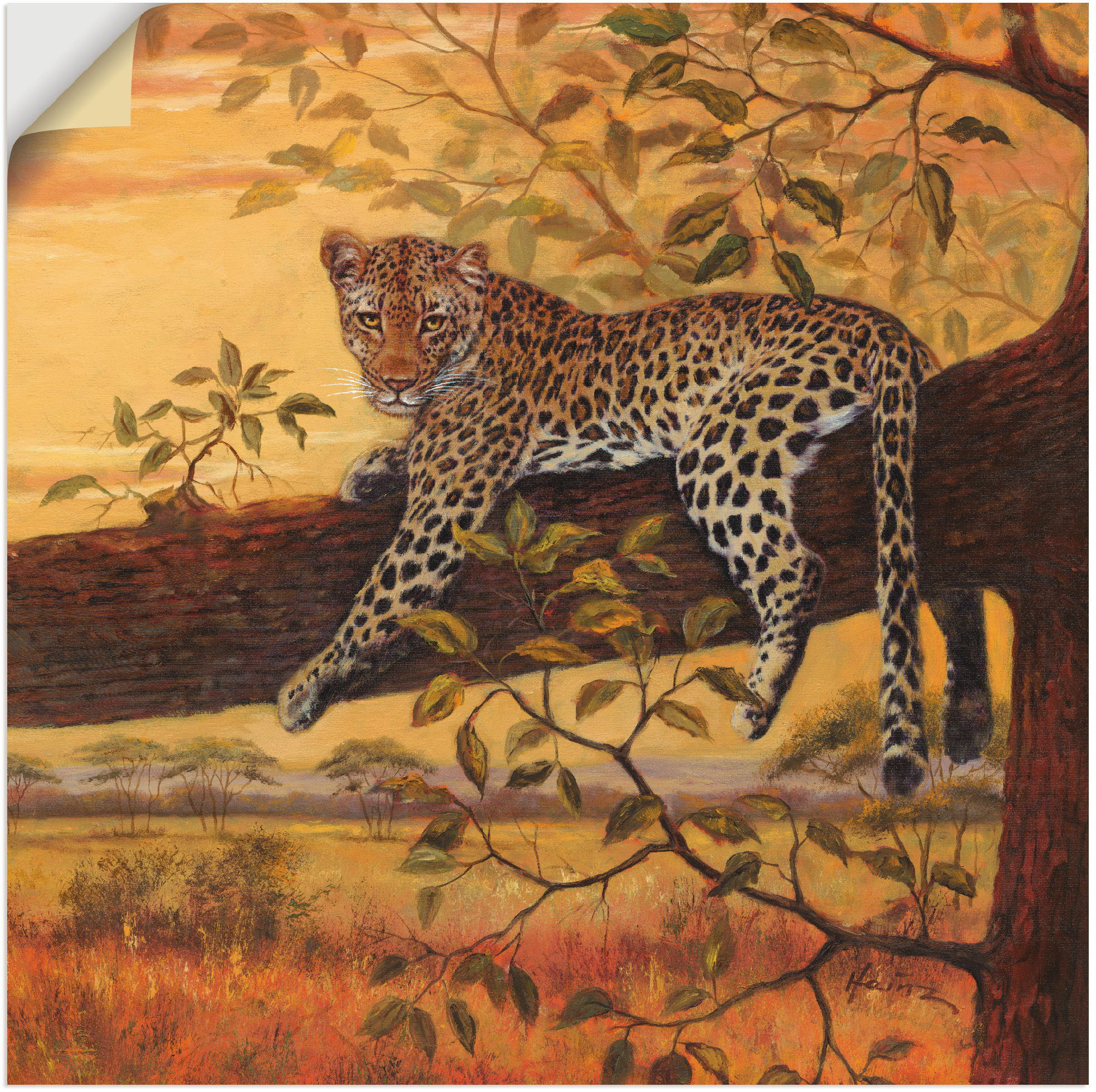 Artland Wandbild "Ruhender Leopard", Wildtiere, (1 St.), als Leinwandbild, günstig online kaufen