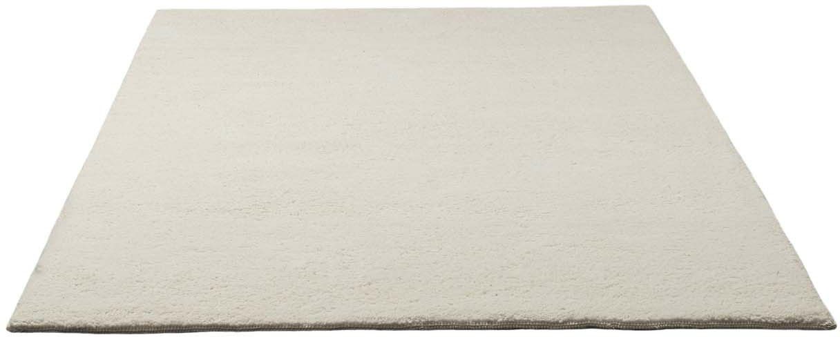 my home Wollteppich »Mohan«, rechteckig, 25 mm Höhe, echter Berber aus Maro günstig online kaufen