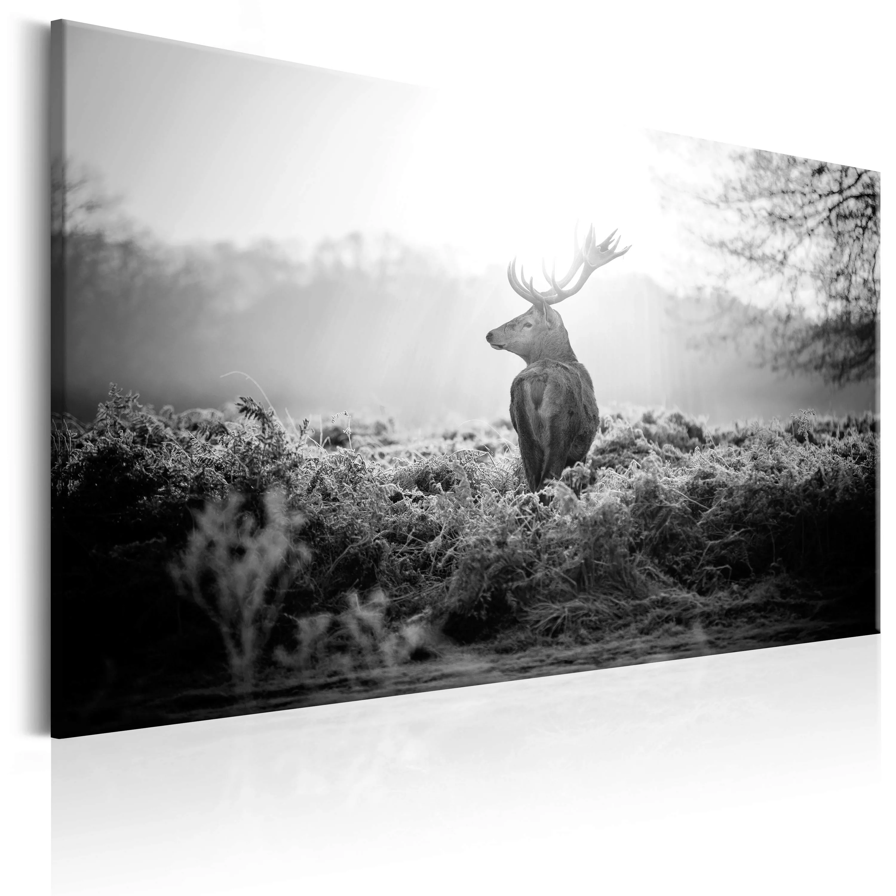 Wandbild - Black And White Deer günstig online kaufen