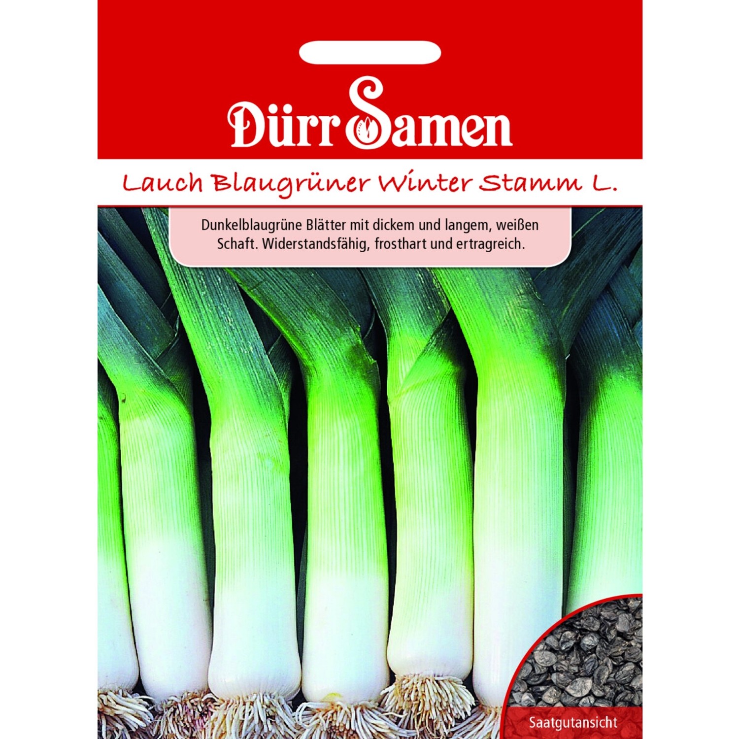 Dürr Samen Lauch Blaugrüner Winter Stamm L. Saatgut günstig online kaufen