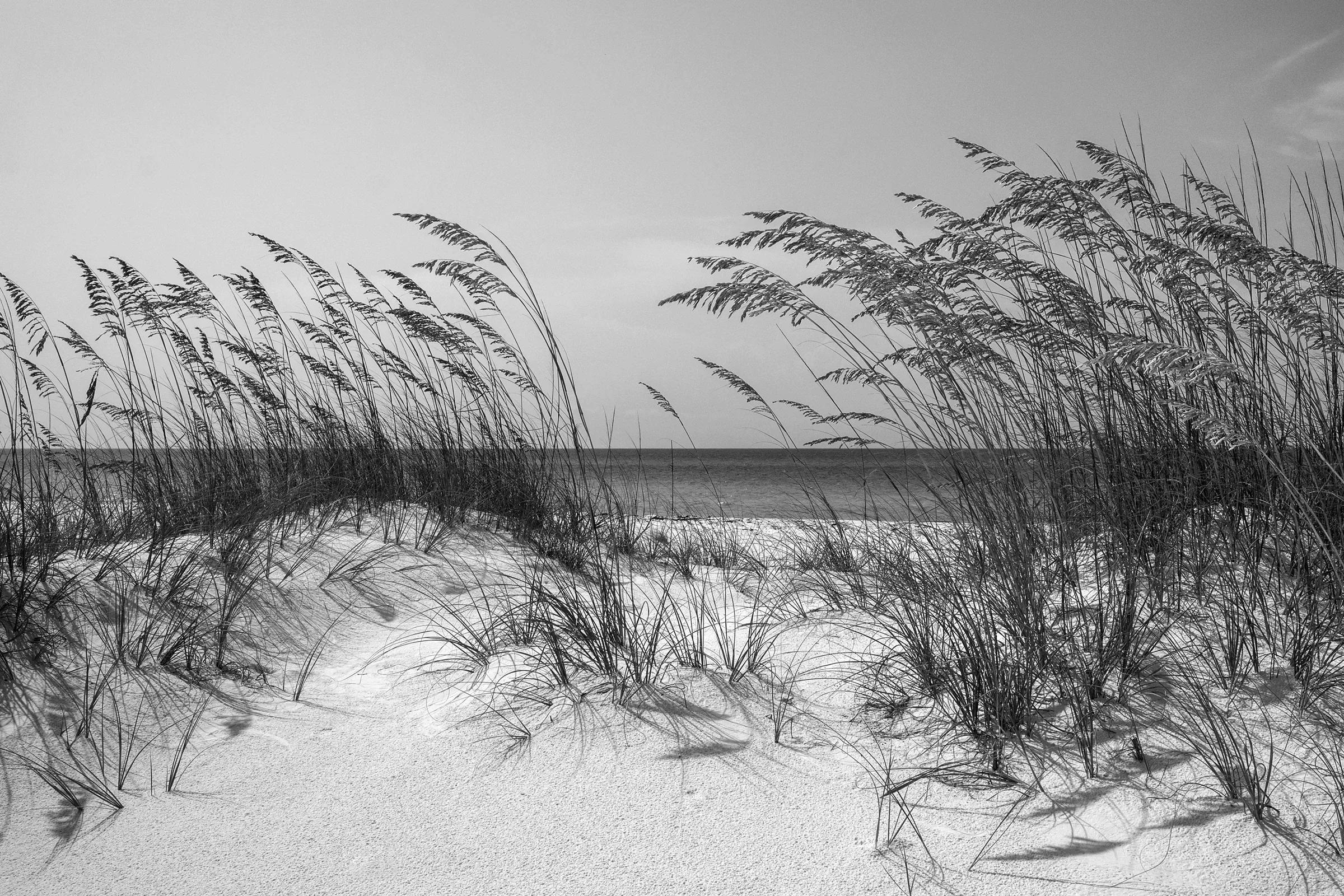 Papermoon Fototapete »Strand Schwarz & Weiß« günstig online kaufen