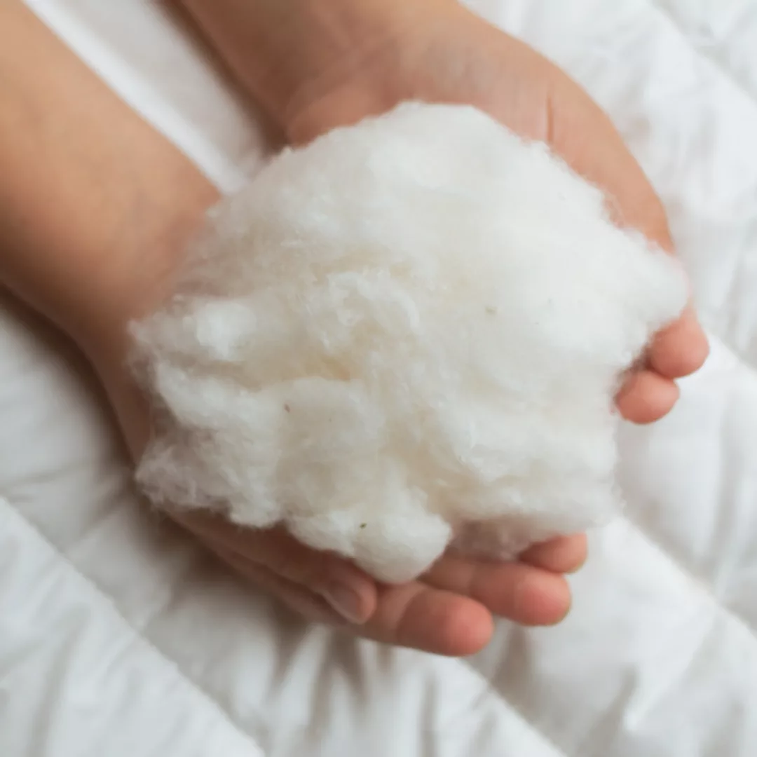 Bio-kopfkissen (Kba) Aus Bio-baumwolle Gots Vegan "Cotton Top" günstig online kaufen