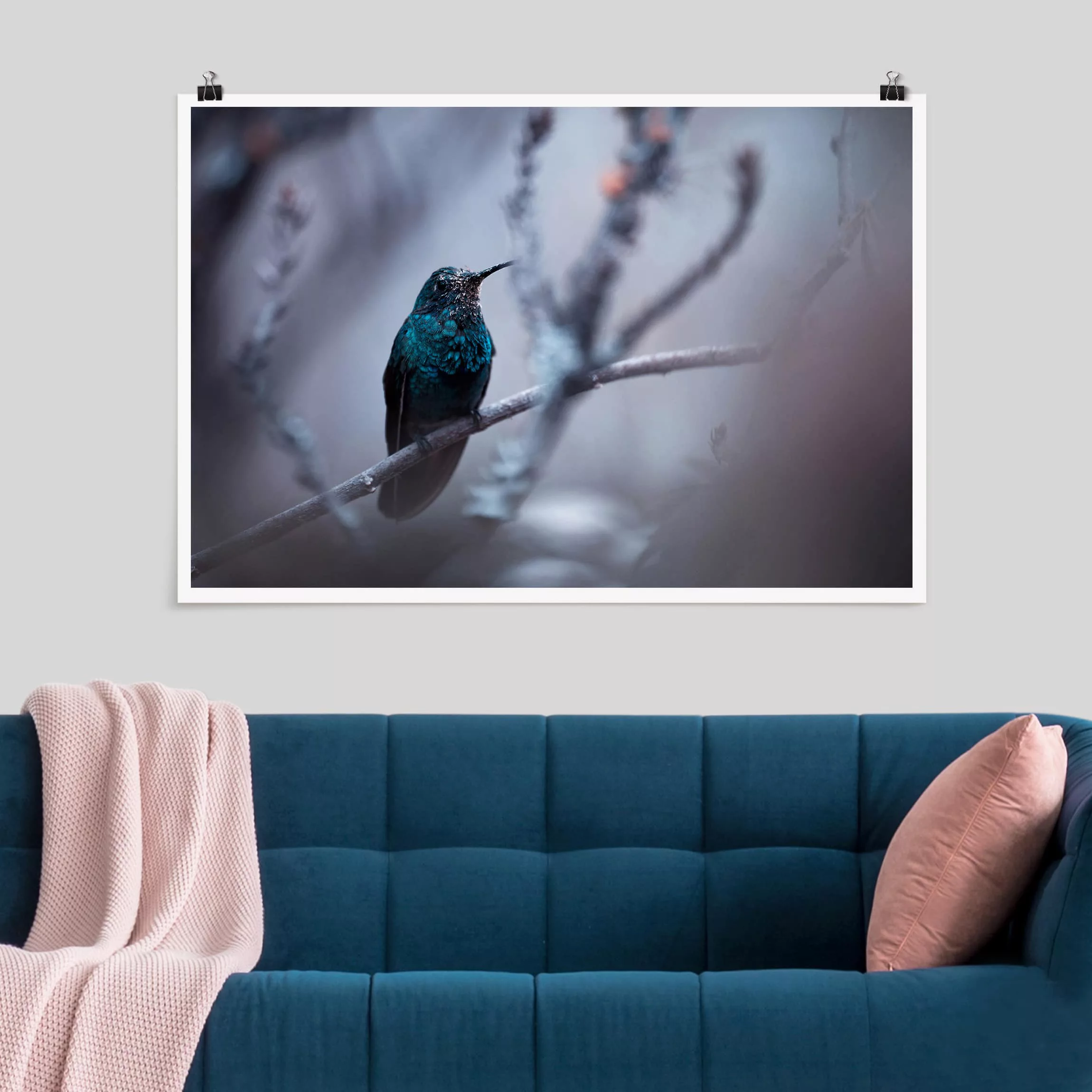 Poster Tiere - Querformat Kolibri im Winter günstig online kaufen