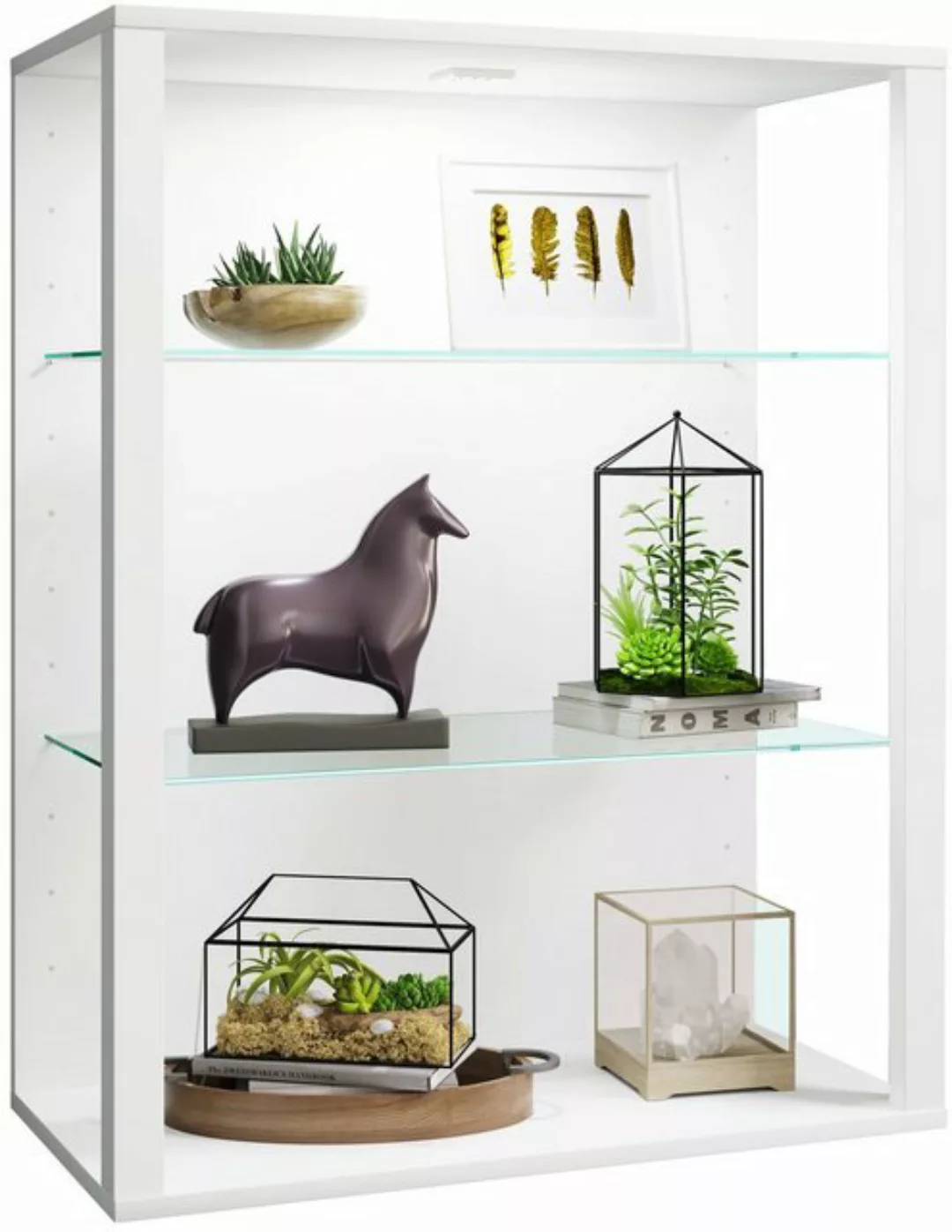 VCM Hängevitrine olz Glas Stand Vitrine Sammelvitrine Glasol LW (1-St) günstig online kaufen