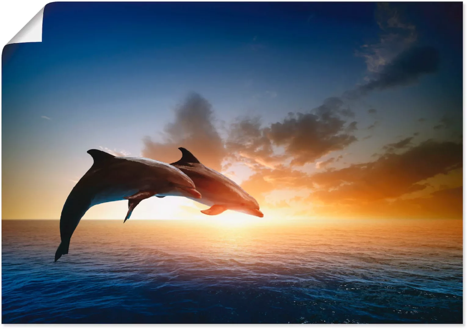 Artland Wandbild »Delfinpaar«, Wassertiere, (1 St.), als Leinwandbild, Post günstig online kaufen