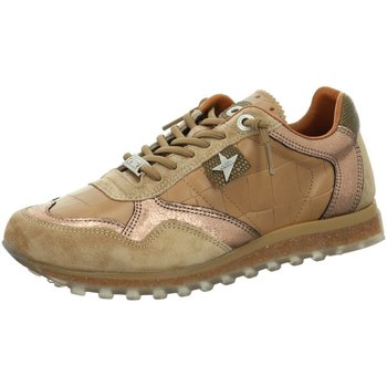 Cetti  Halbschuhe Schnuerschuhe C848 günstig online kaufen