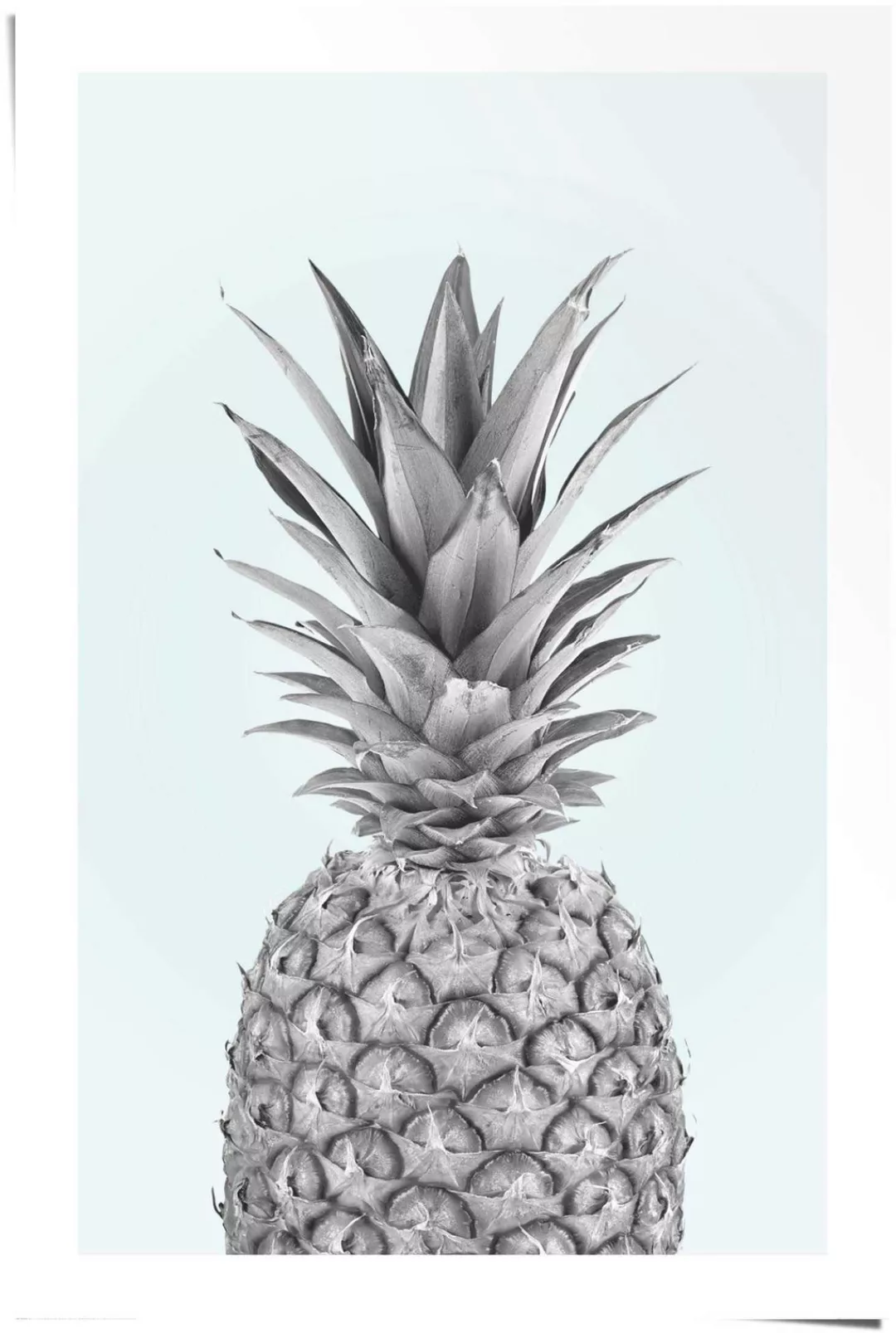 Reinders Poster "Ananas", (1 St.) günstig online kaufen