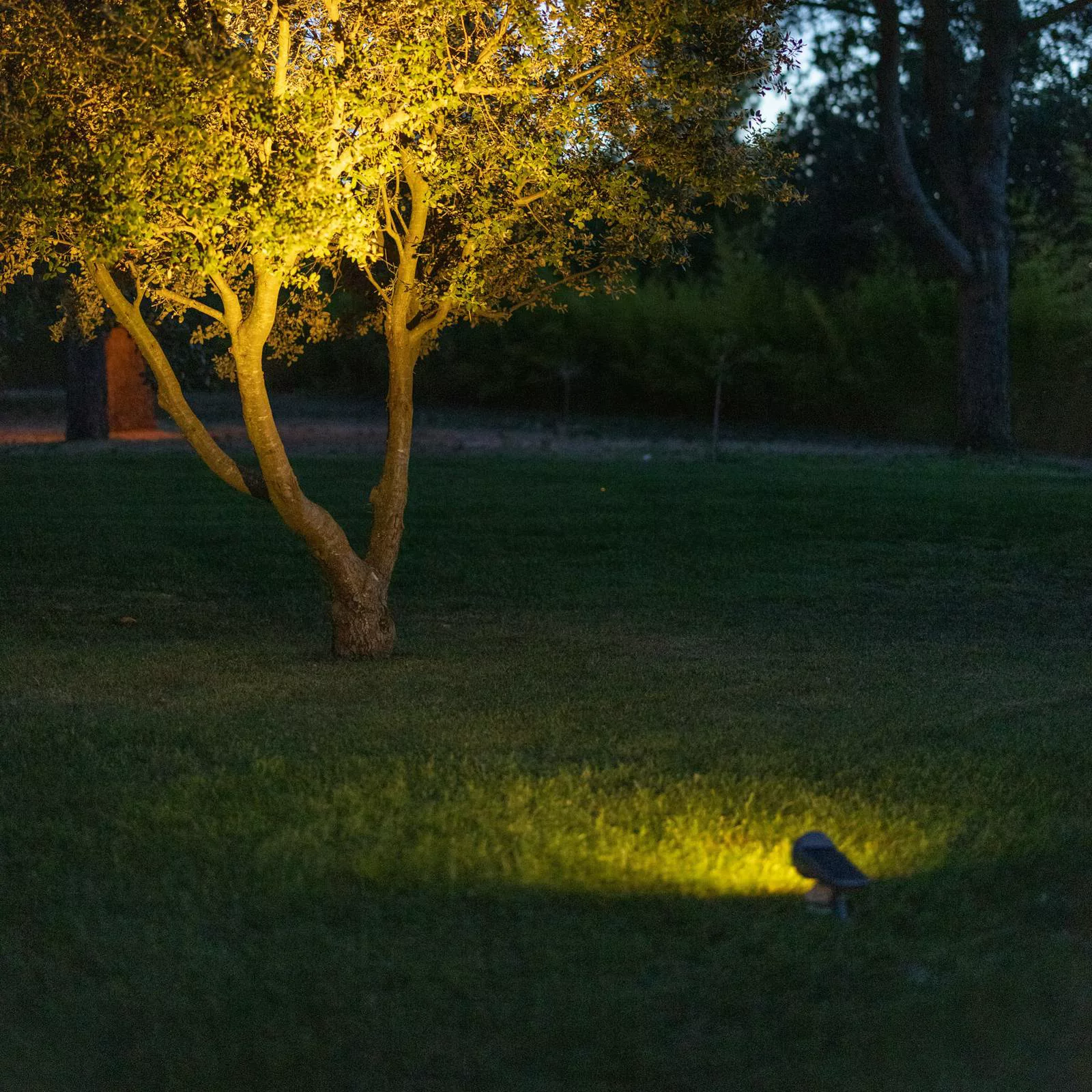 LED-Solar-Strahler Spot Tageslichtsensor, dimmbar günstig online kaufen