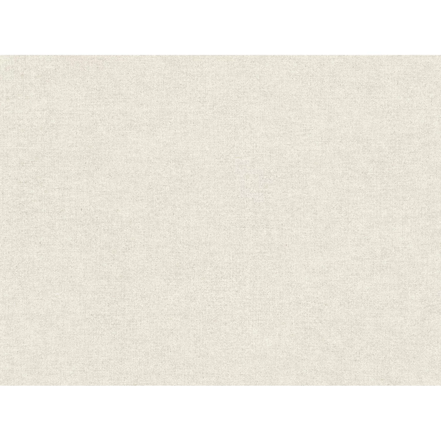 Bricoflor Beige Graue Vliestapete Im Uni Stil Moderne Einfarbige Tapete Ide günstig online kaufen