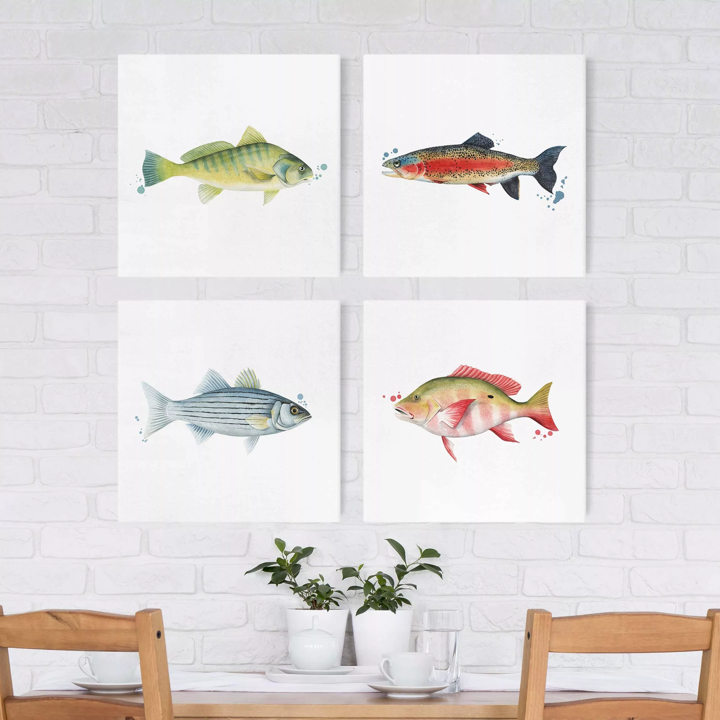 4-teiliges Leinwandbild Küche - Quadrat Farbfang - Fische Set I günstig online kaufen
