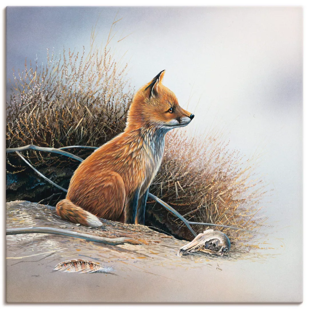 Artland Wandbild »Kleiner Fuchs«, Wildtiere, (1 St.) günstig online kaufen