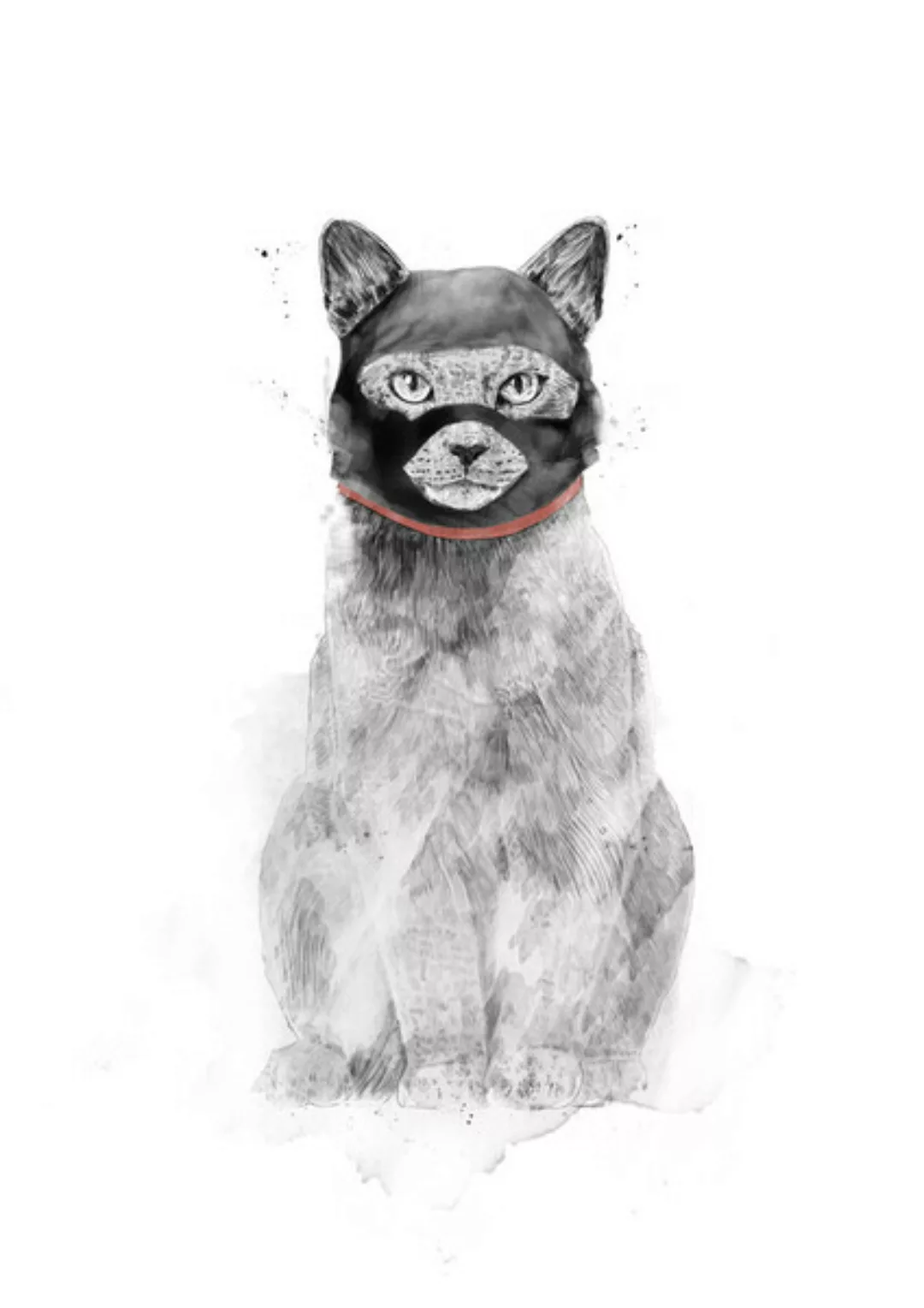 Poster / Leinwandbild - Masked Cat günstig online kaufen