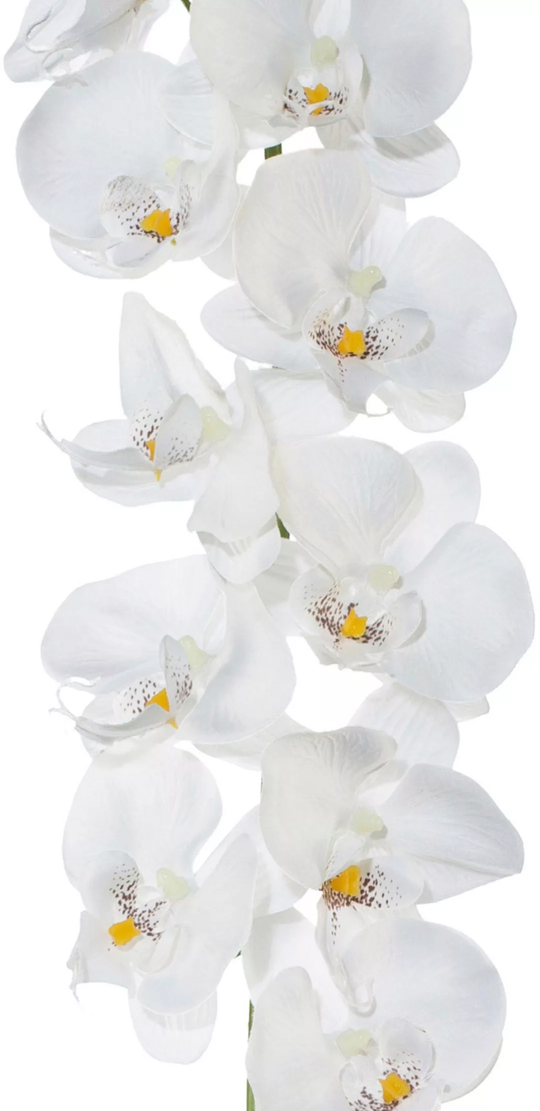 Creativ green Kunstgirlande "Orchideengirlande" günstig online kaufen