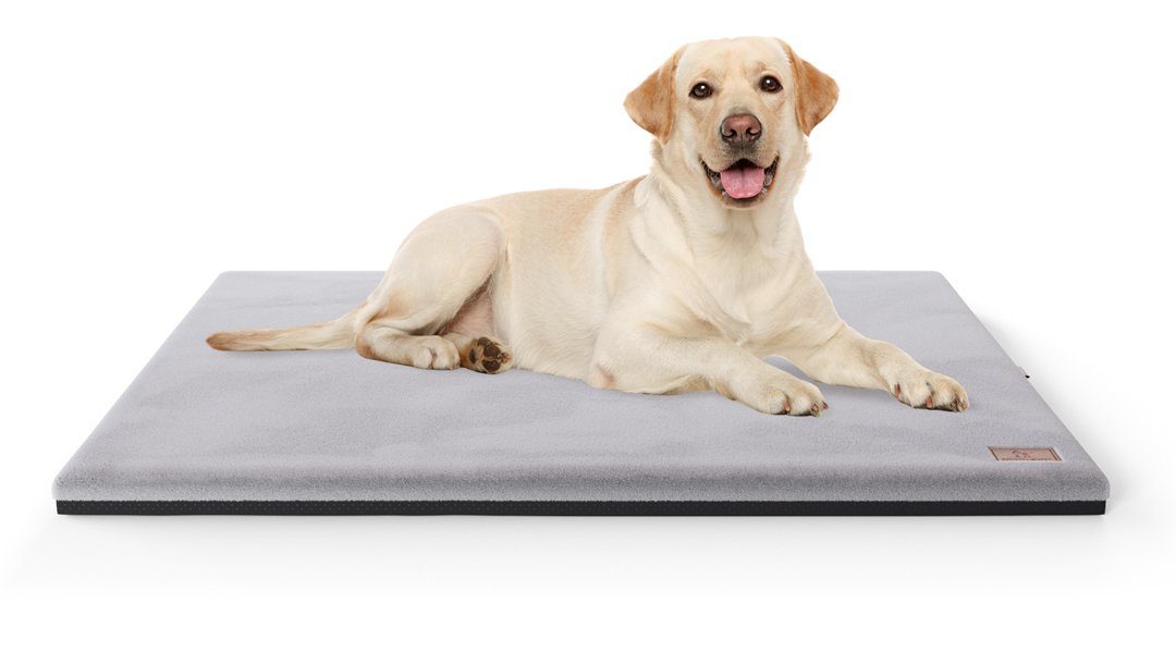 Knuffelwuff Hundematte Berrith, Orthopädisch günstig online kaufen