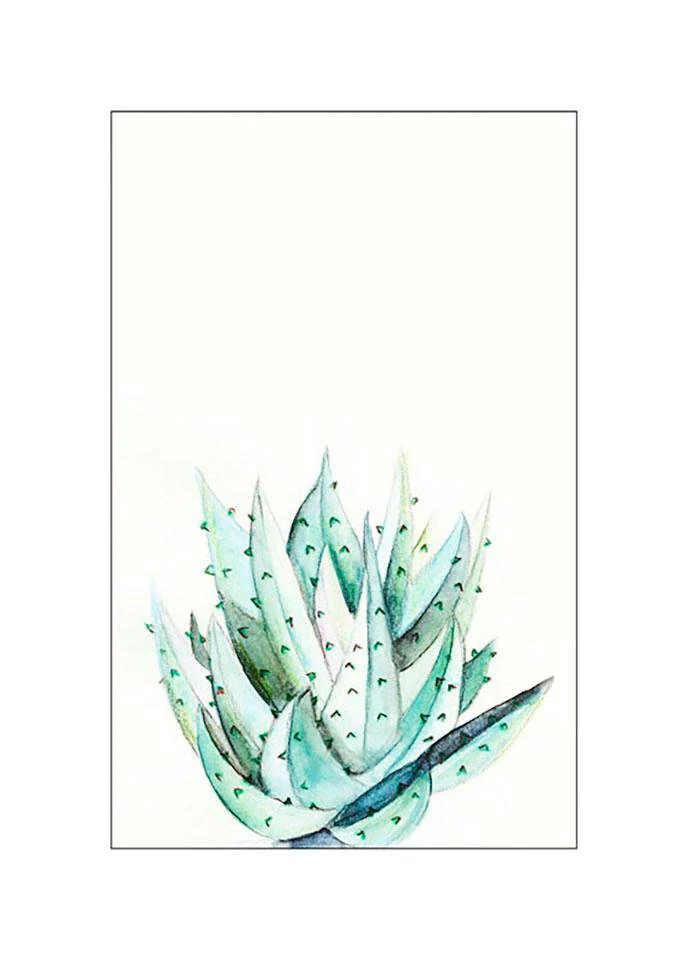 Komar Bild "Aloe Watercolor", Pflanzen-Blätter, (1 St.), Wandbild zur Dekor günstig online kaufen