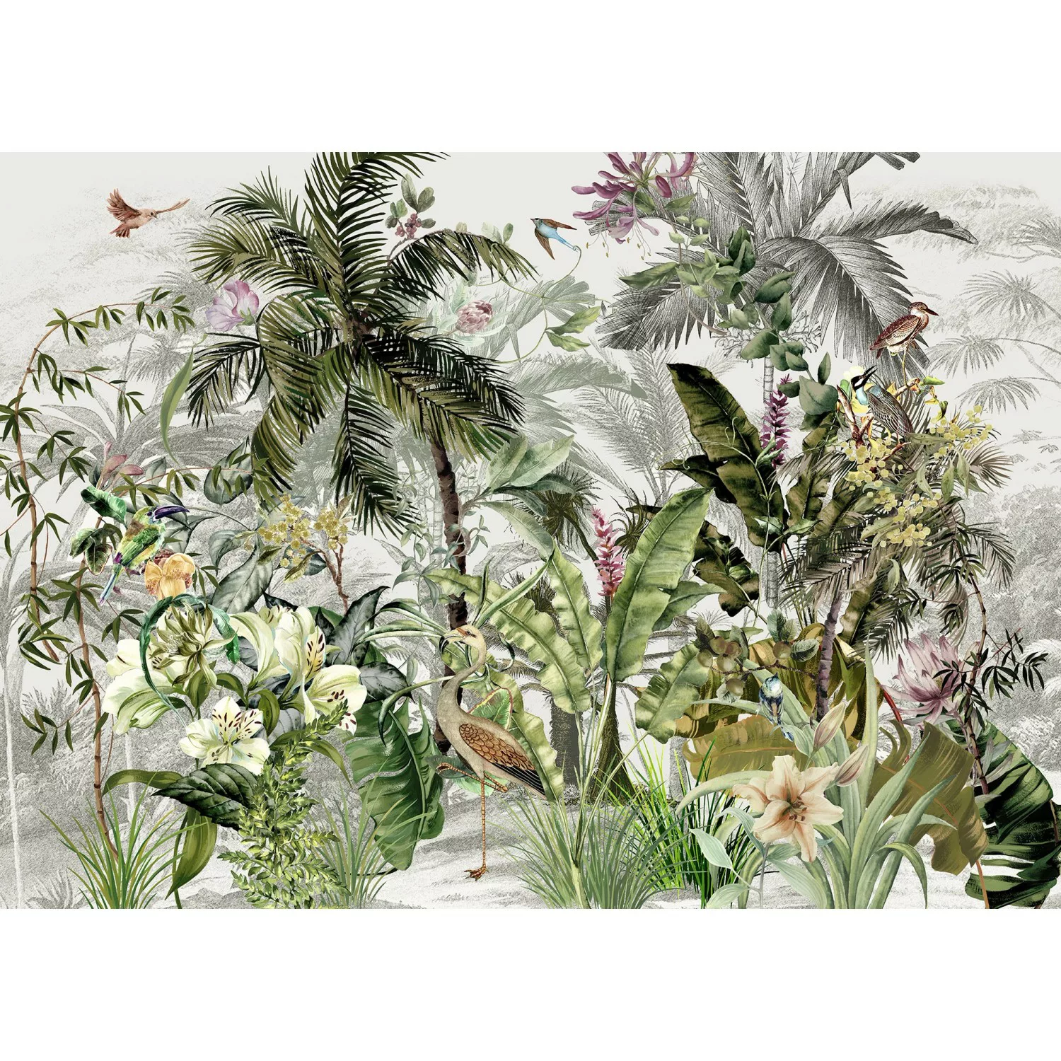 Komar Vliesfototapete Birds in the Jungle 250 cm x 350 cm günstig online kaufen