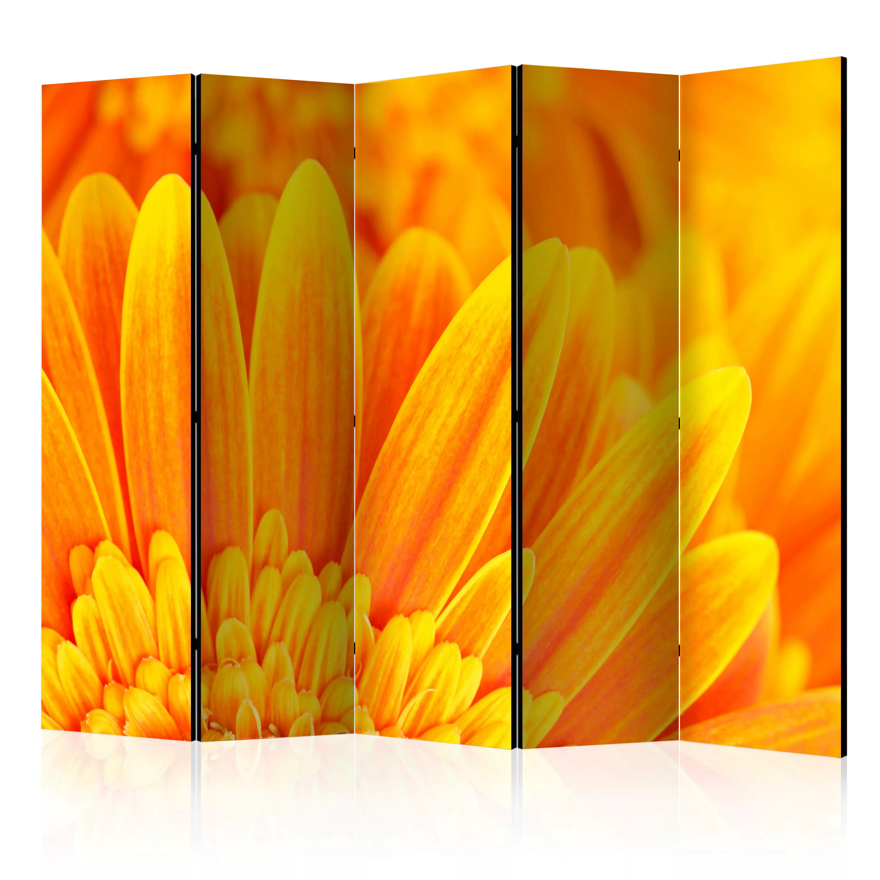 5-teiliges Paravent - Yellow Gerbera Daisies Ii [room Dividers] günstig online kaufen