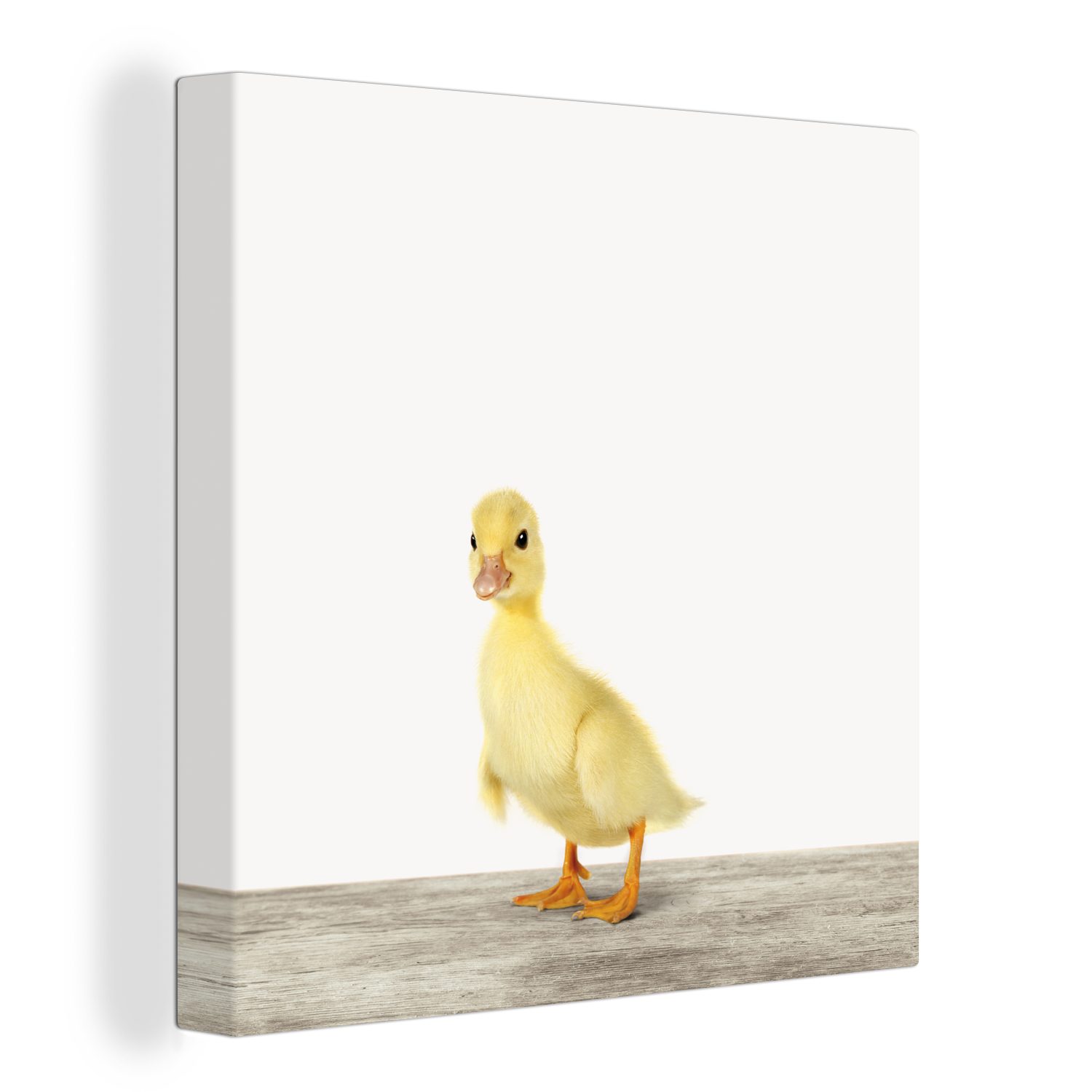 OneMillionCanvasses® Leinwandbild Ente - Küken - günstig online kaufen