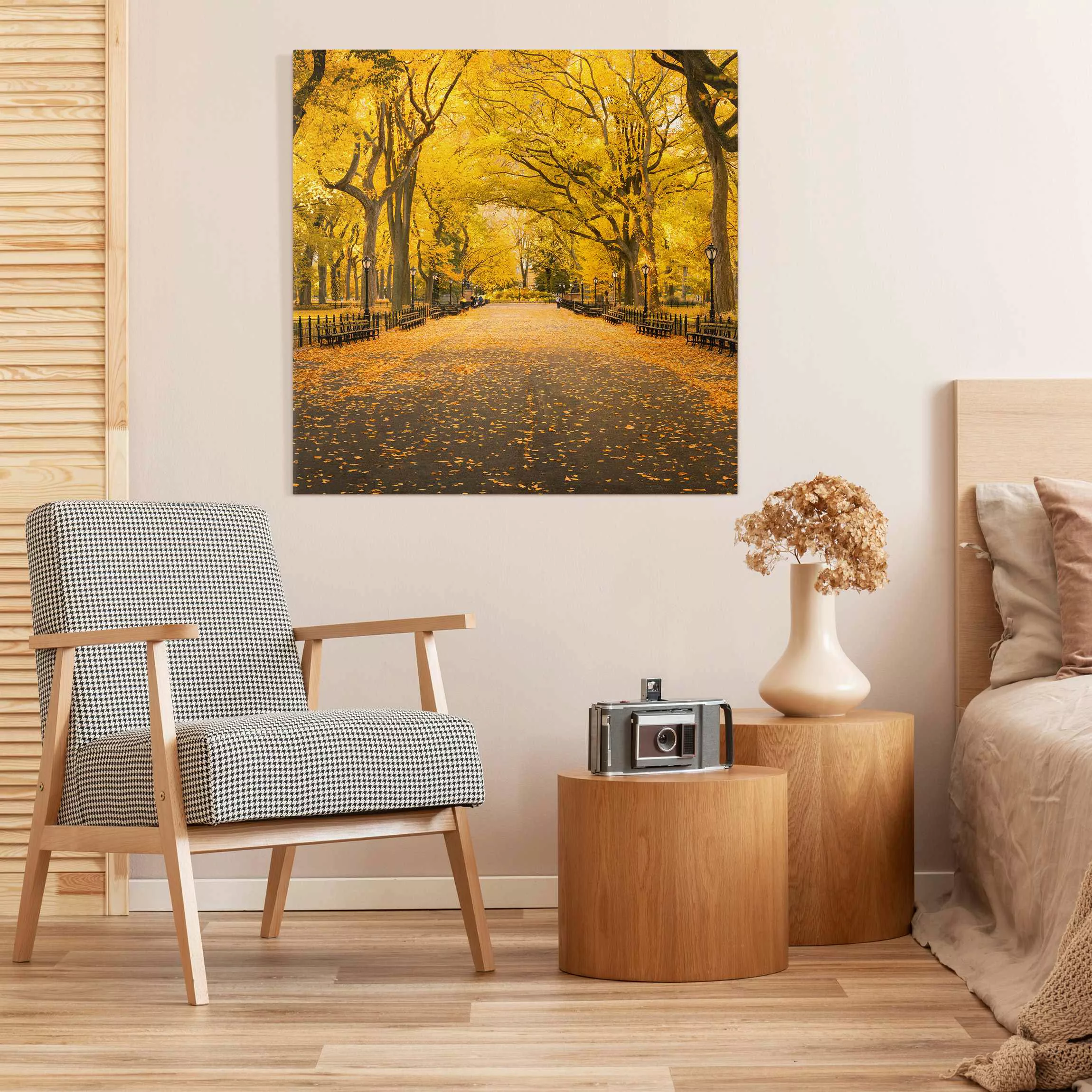 Leinwandbild Herbst im Central Park günstig online kaufen