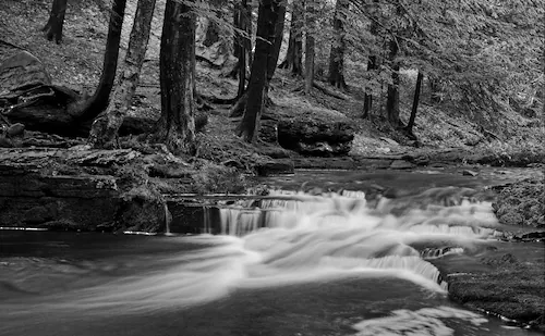 Papermoon Fototapete »Wasserfall Schwarz & Weiß« günstig online kaufen