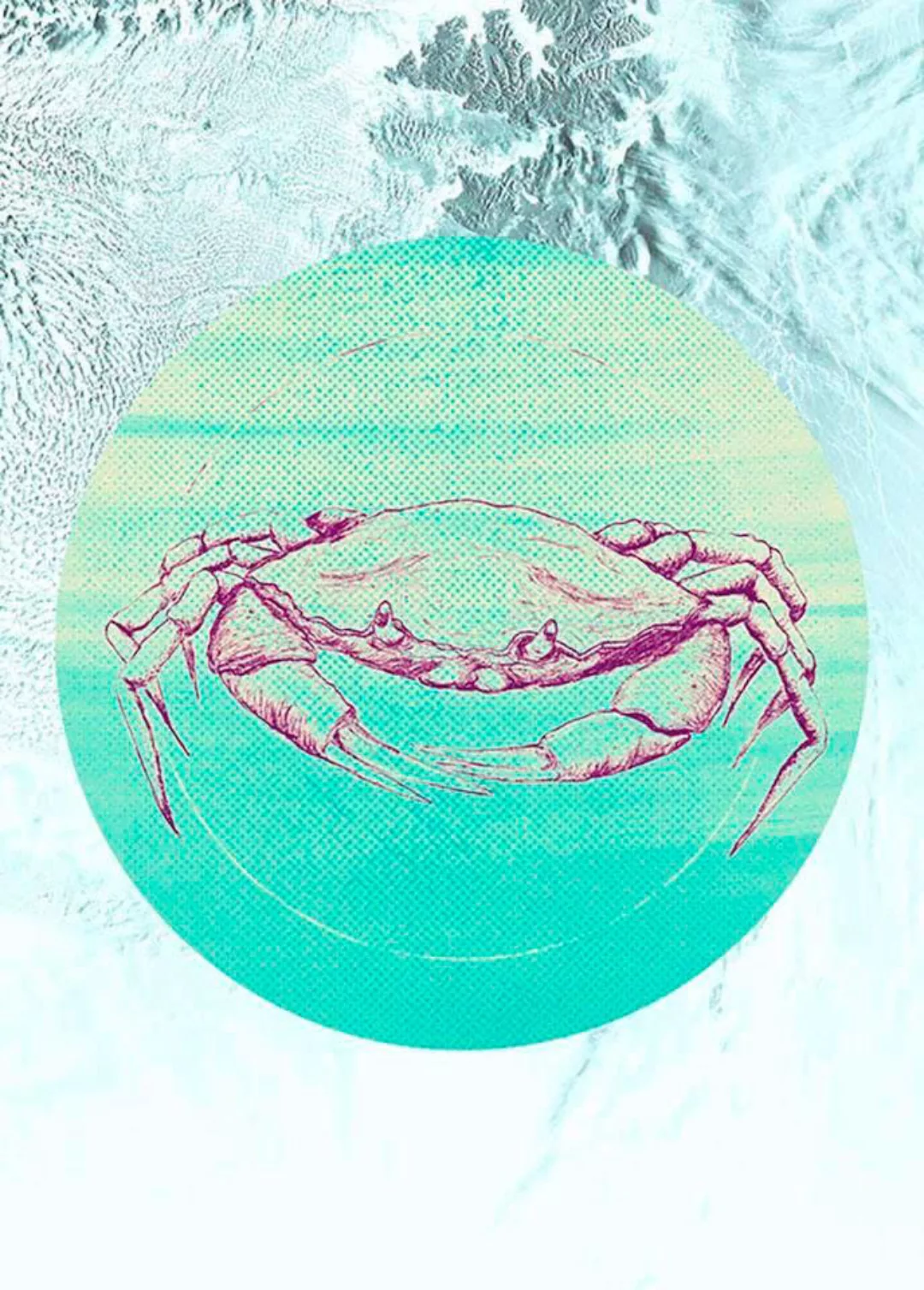 Komar Poster "Crab Sea", Tiere, (1 St.), Kinderzimmer, Schlafzimmer, Wohnzi günstig online kaufen