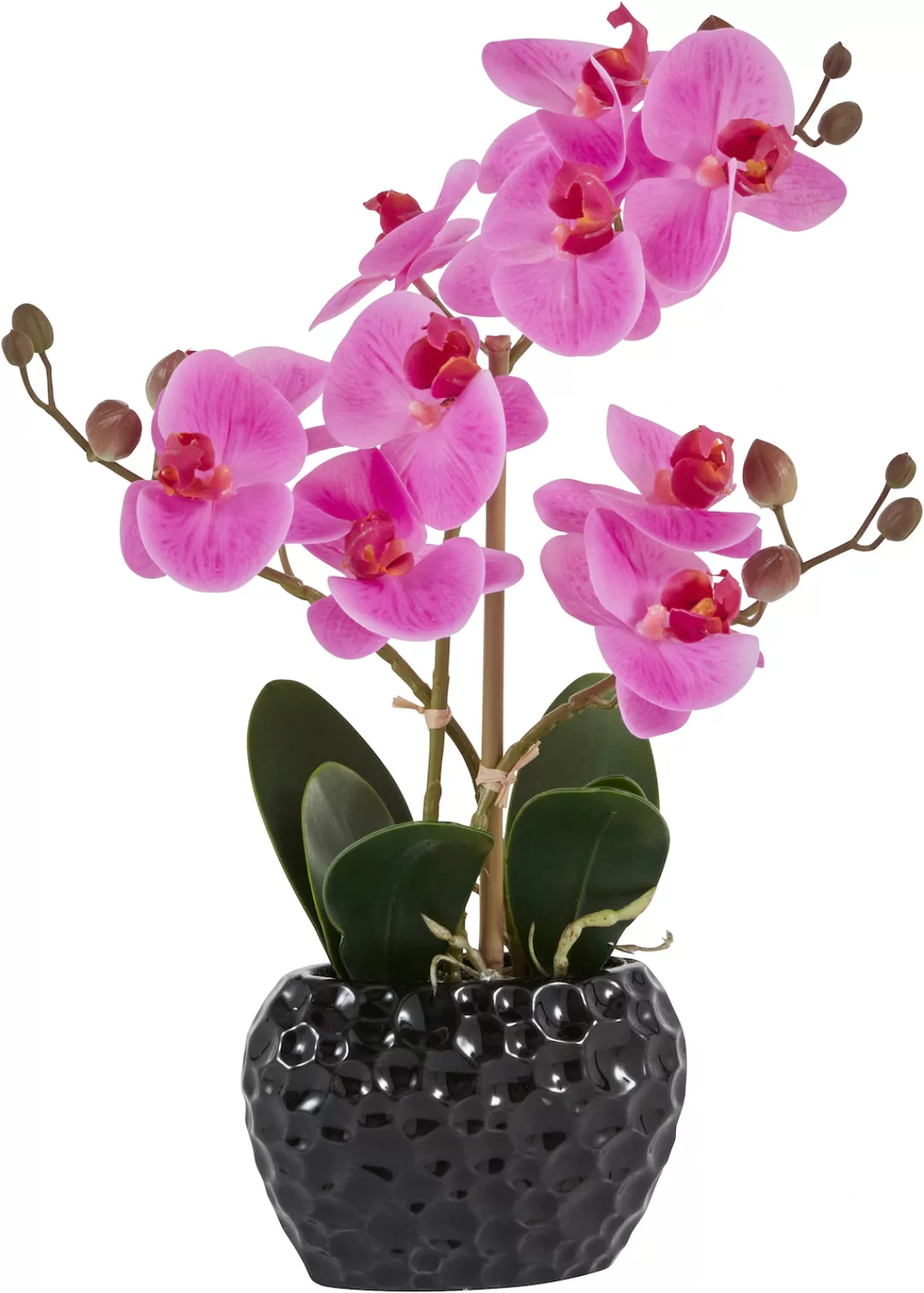 Leonique Kunstpflanze "Orchidee", Kunstorchidee, im Topf, Bestseller, über günstig online kaufen