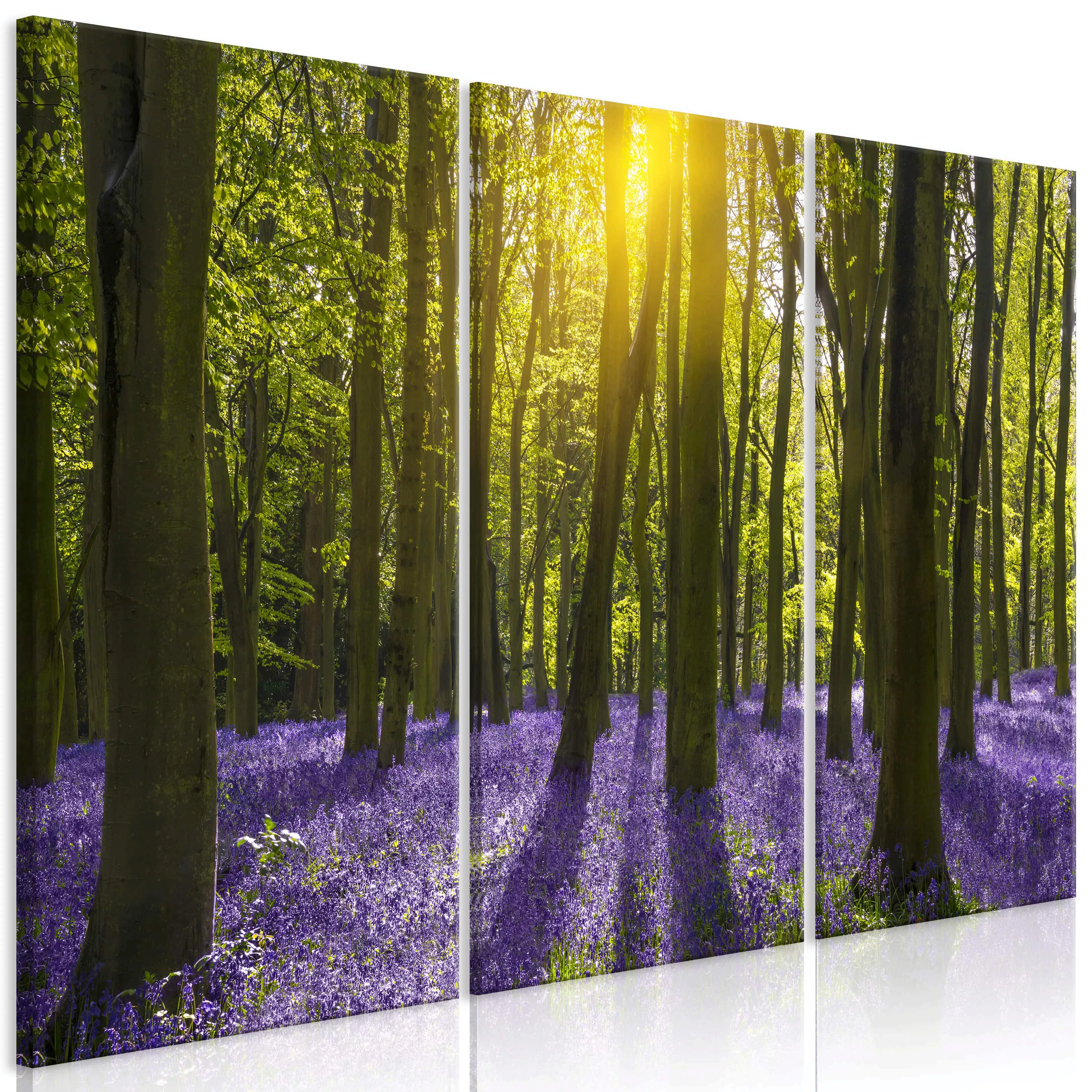 Wandbild - Hyacinth Field (3 Parts) günstig online kaufen