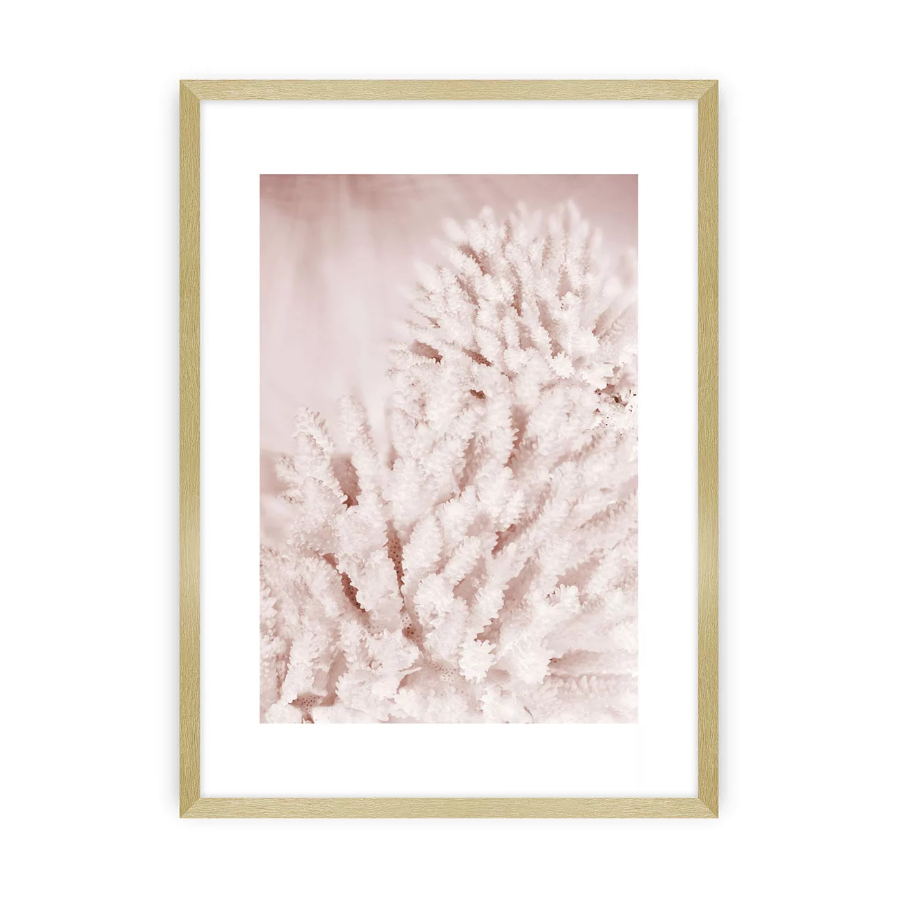 Poster Pastel Pink II, 50 x 70 cm, Rahmen wählen: goldener Rahmen günstig online kaufen