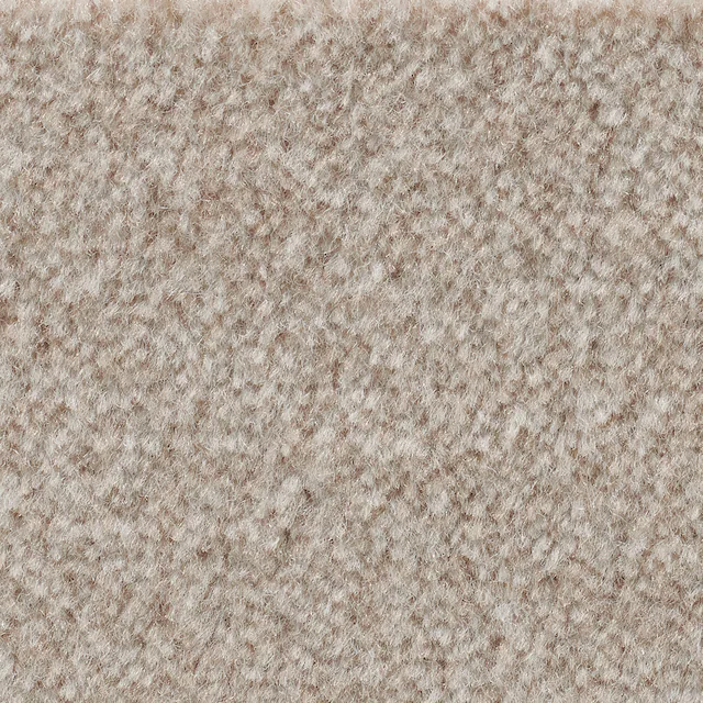 Bodenmeister Teppichboden »Jupiter, Velours - meliert, Made in Belgium«, re günstig online kaufen